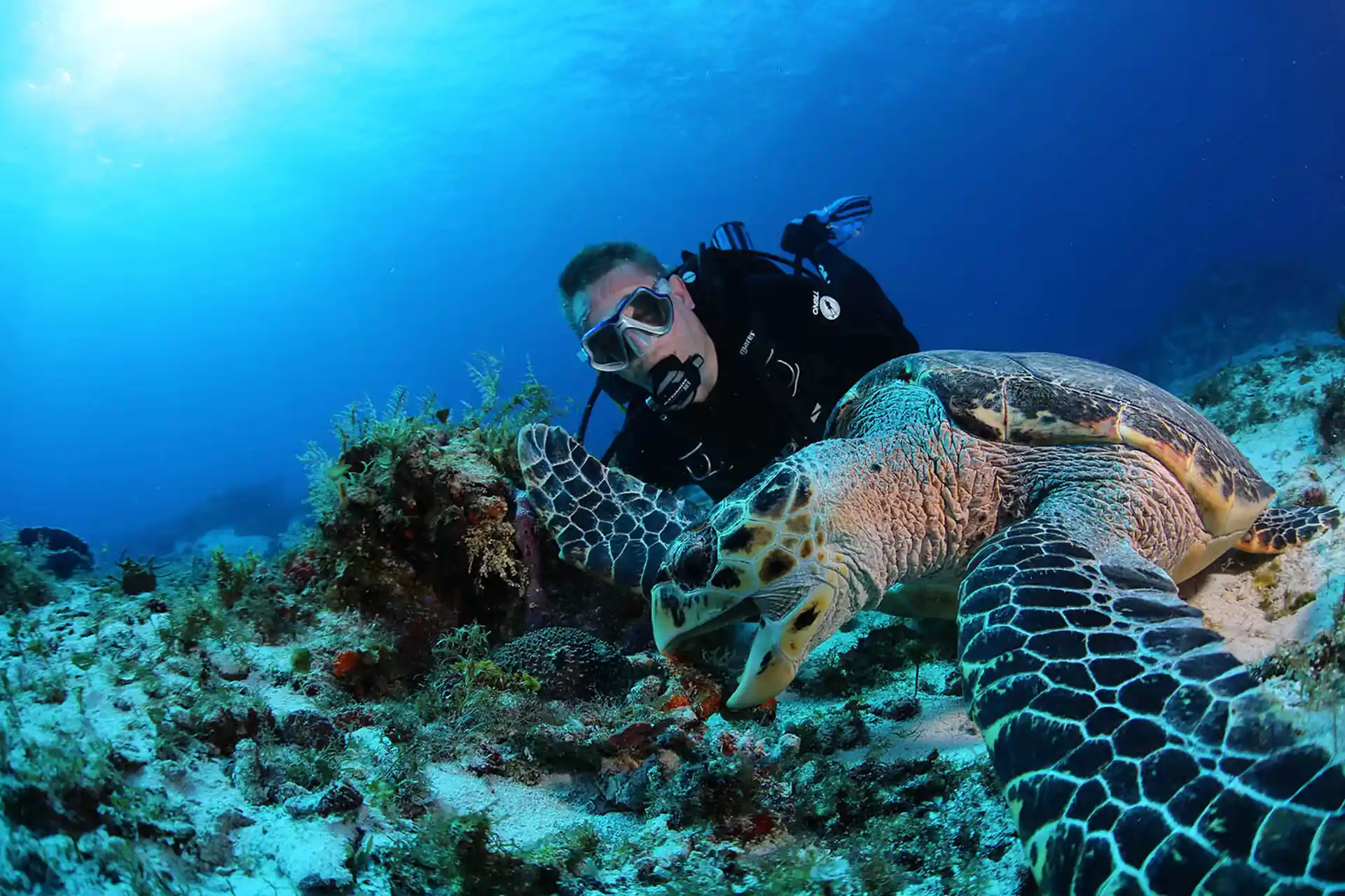 diving in cancun