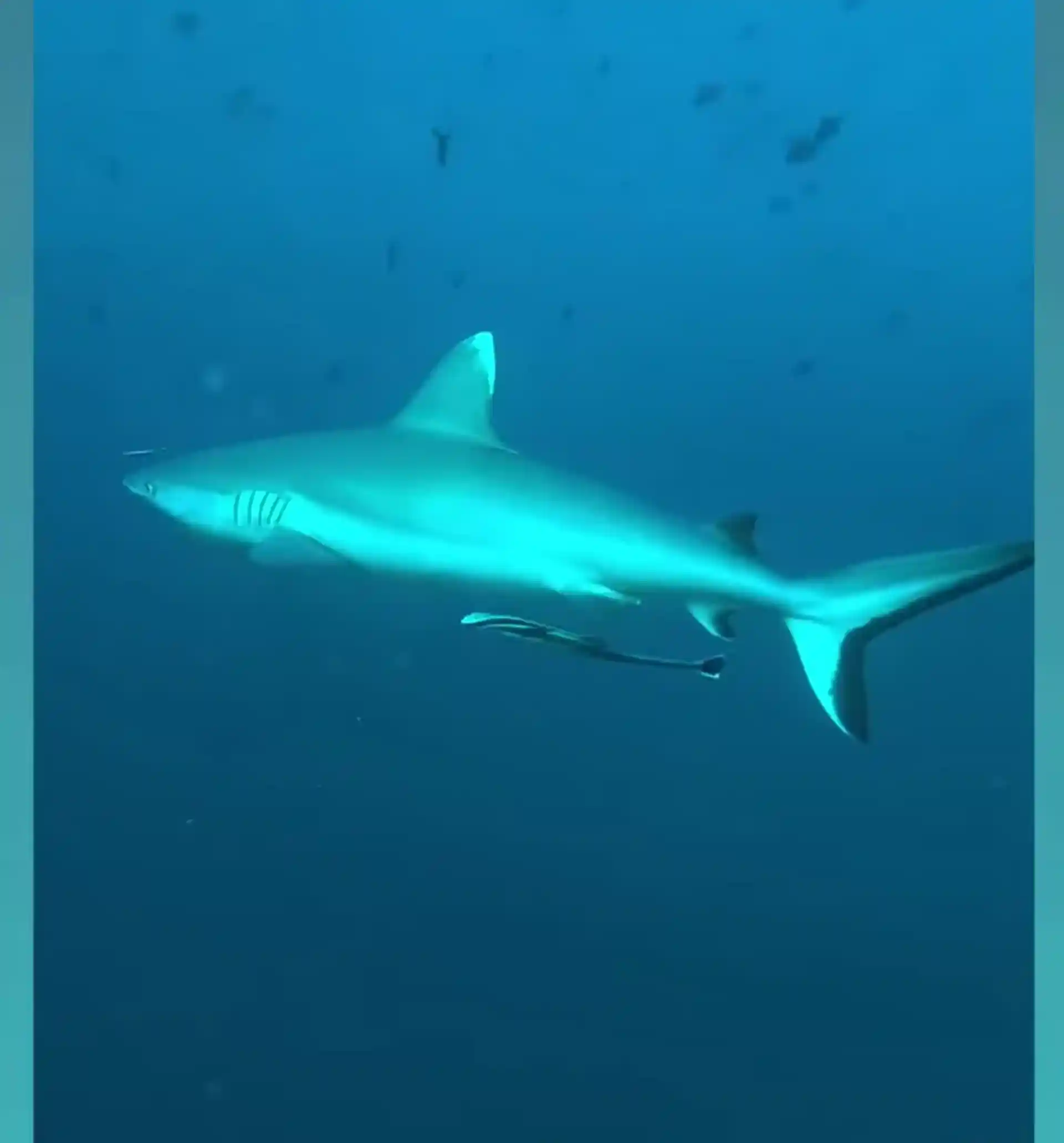 Dive site photo