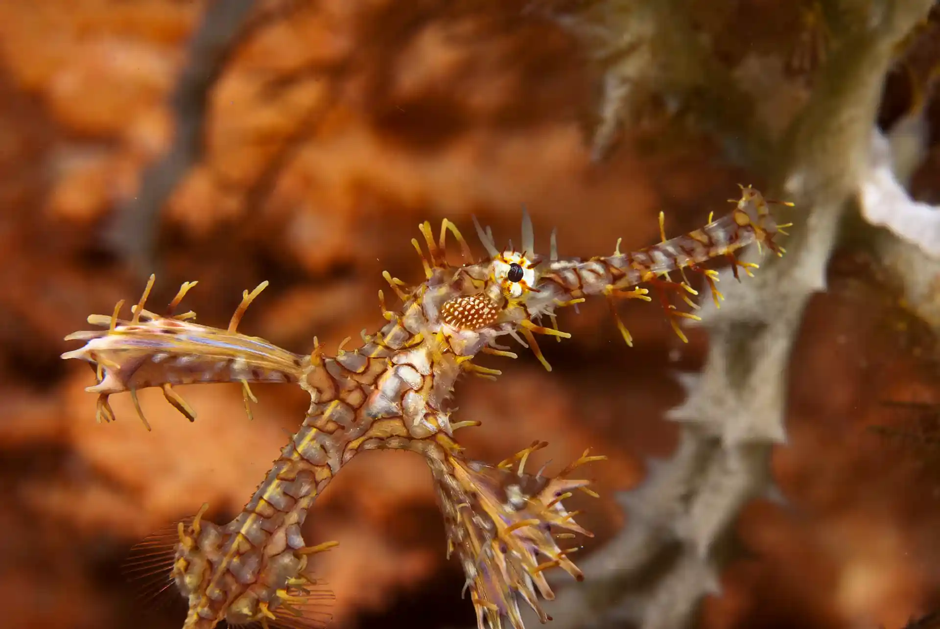 Photo de l'activité