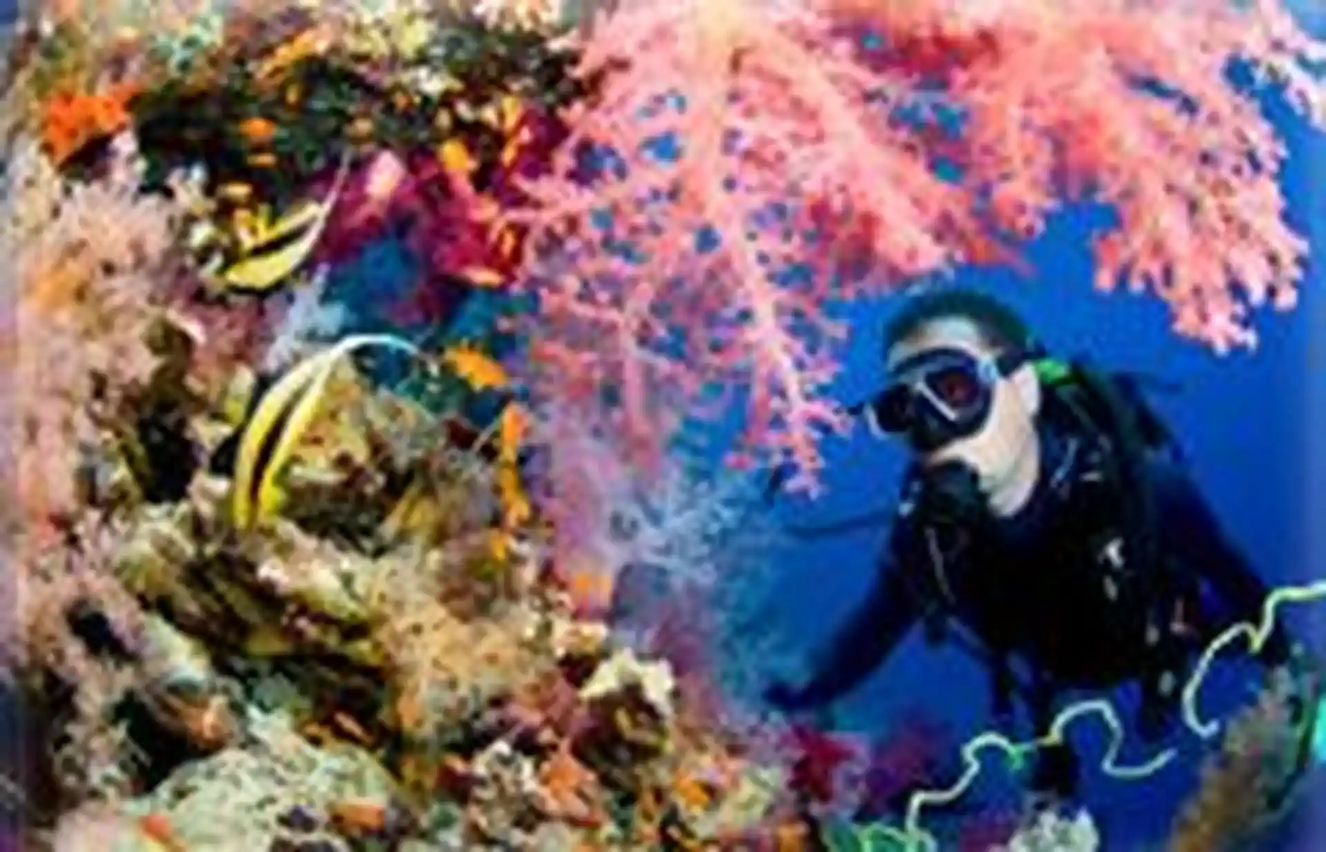 Dive shop photo