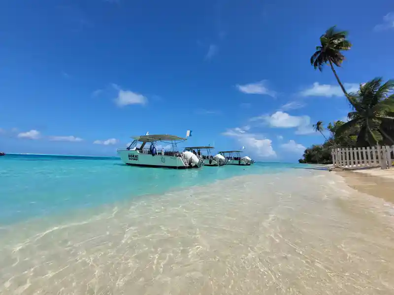 Dive operator picture