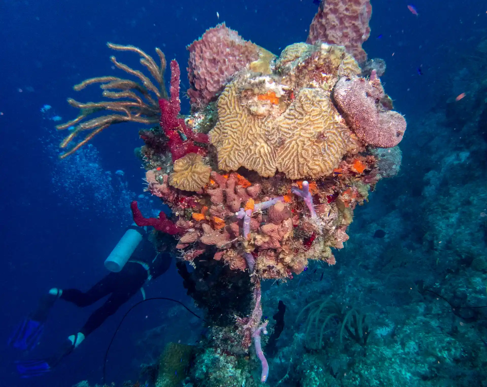 Dive shop photo