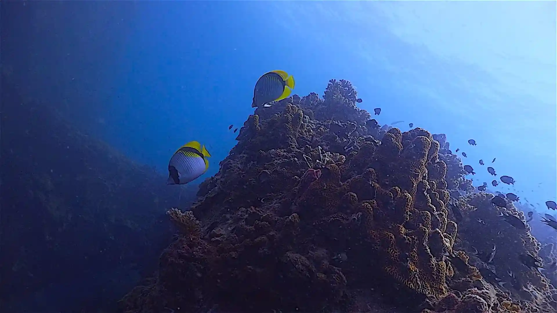 Dive site photo
