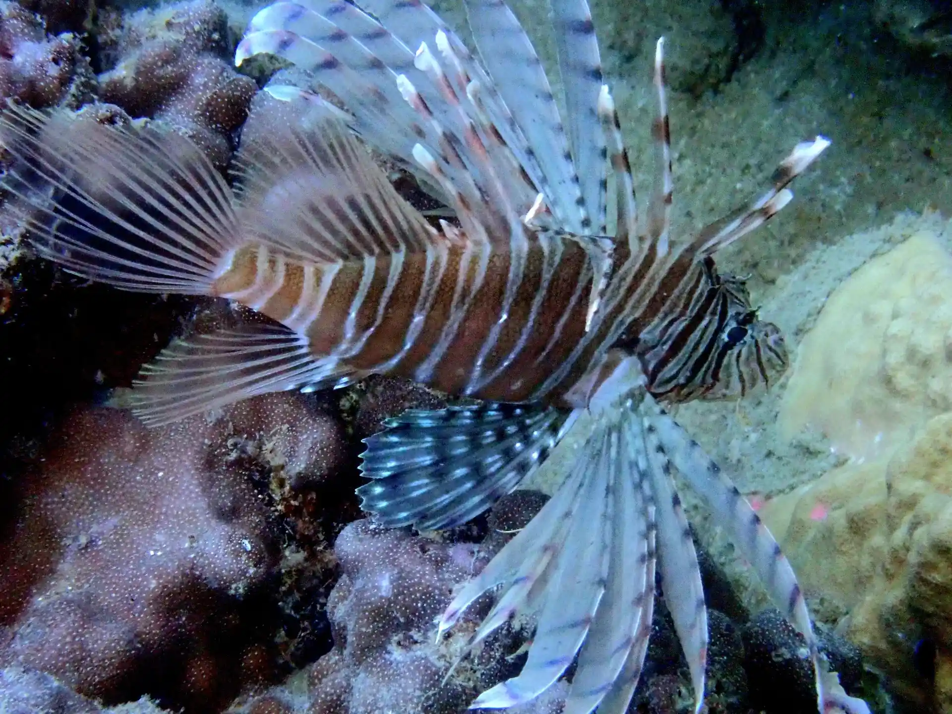 Dive site photo