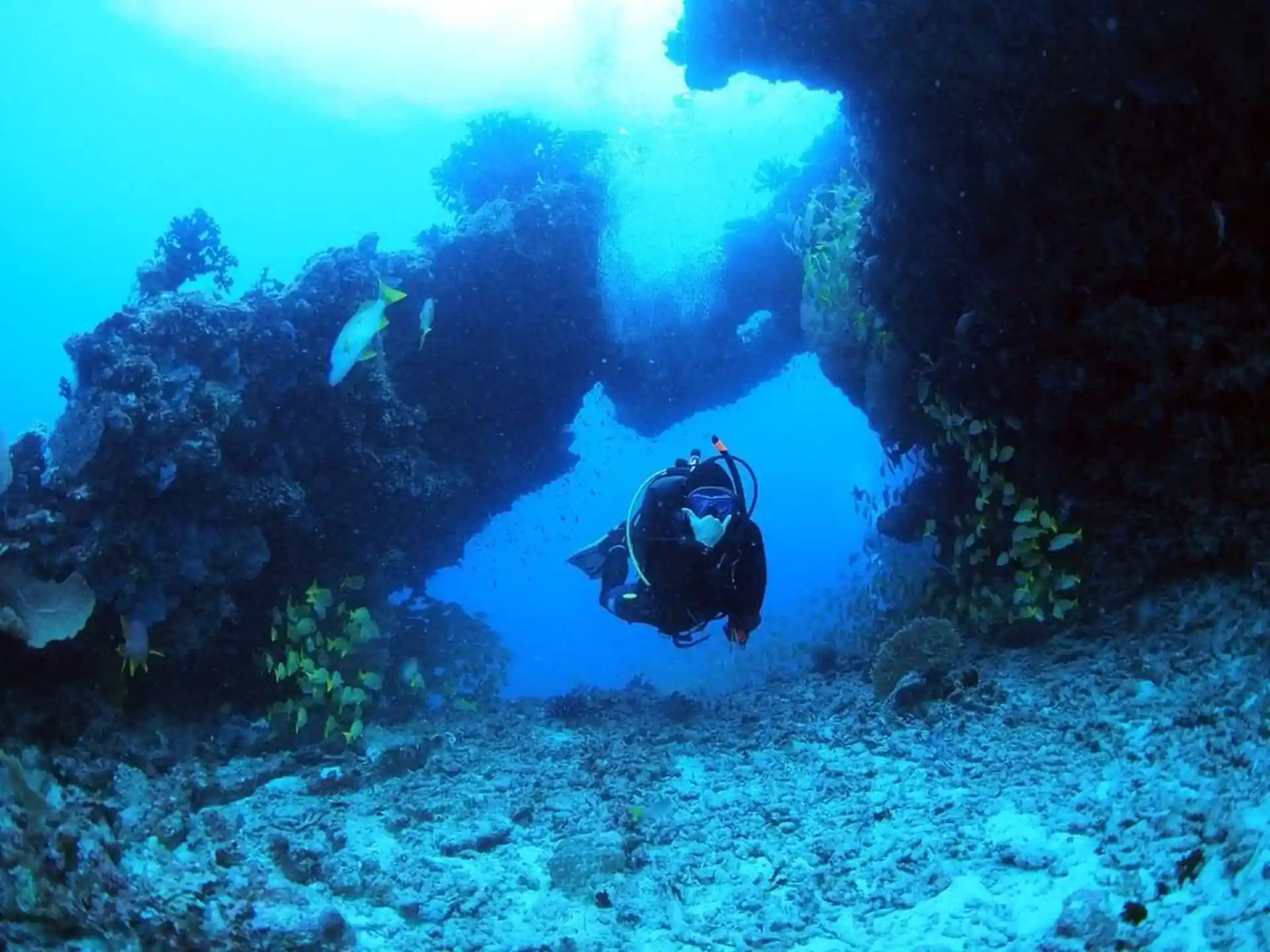 Dive site photo
