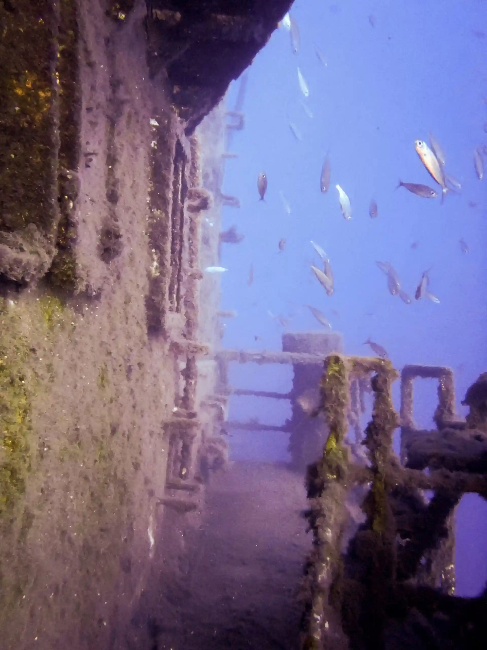 Dive site photo