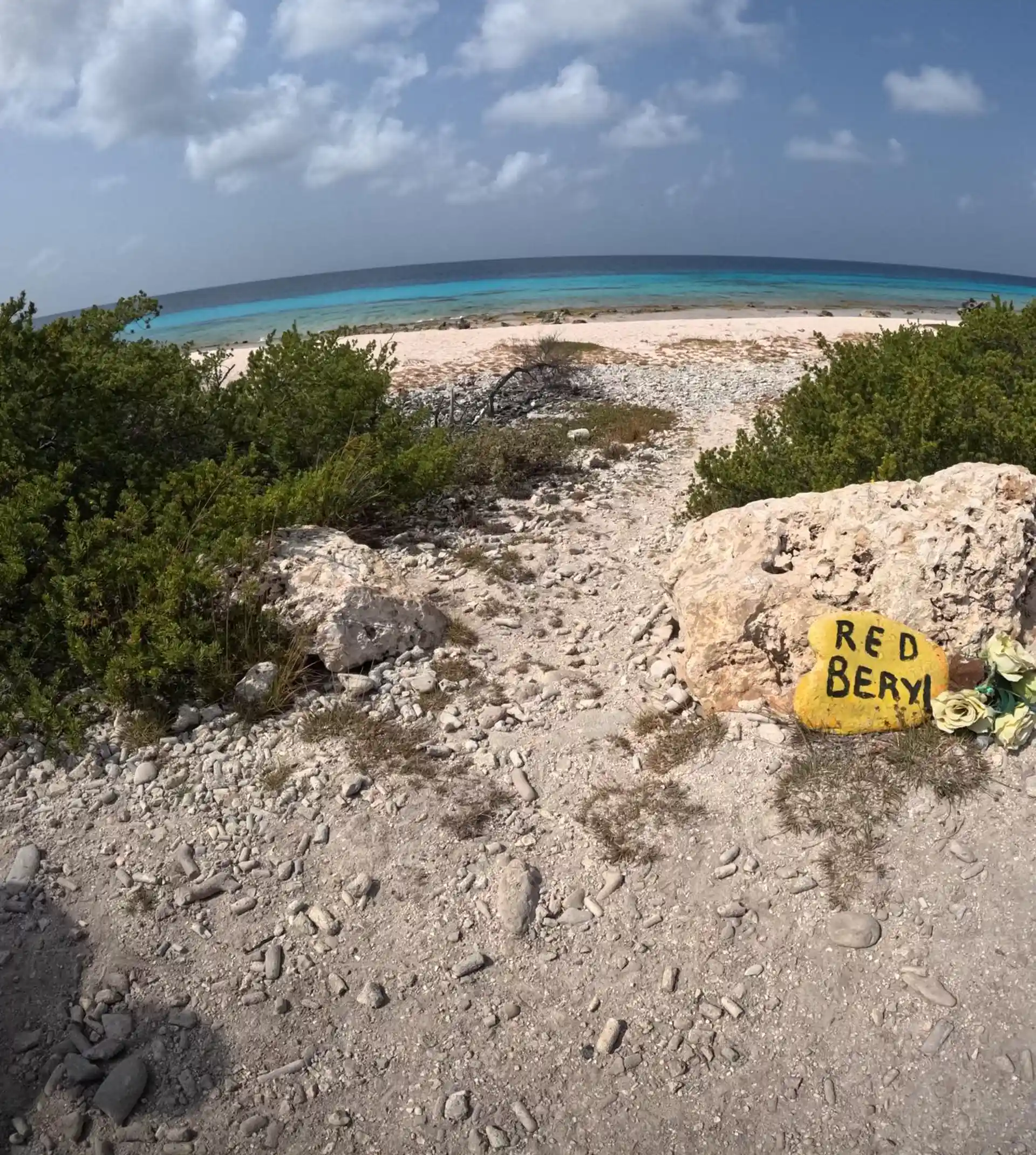 Dive site photo