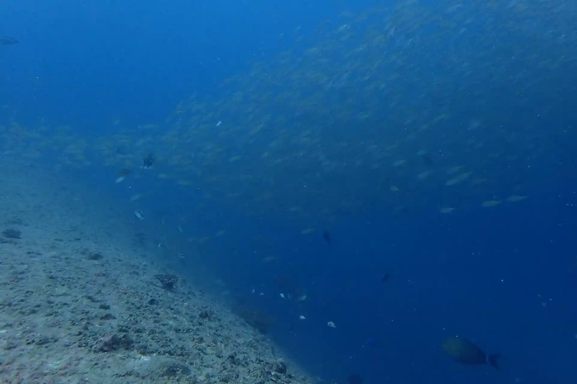 Dive site photo