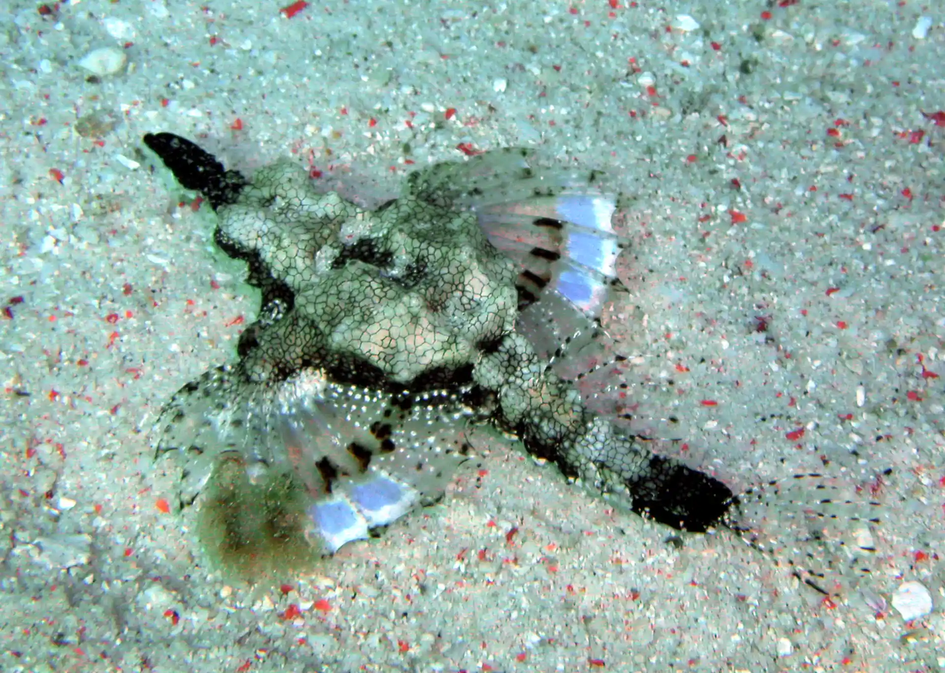 Foto des Tauchplatzes