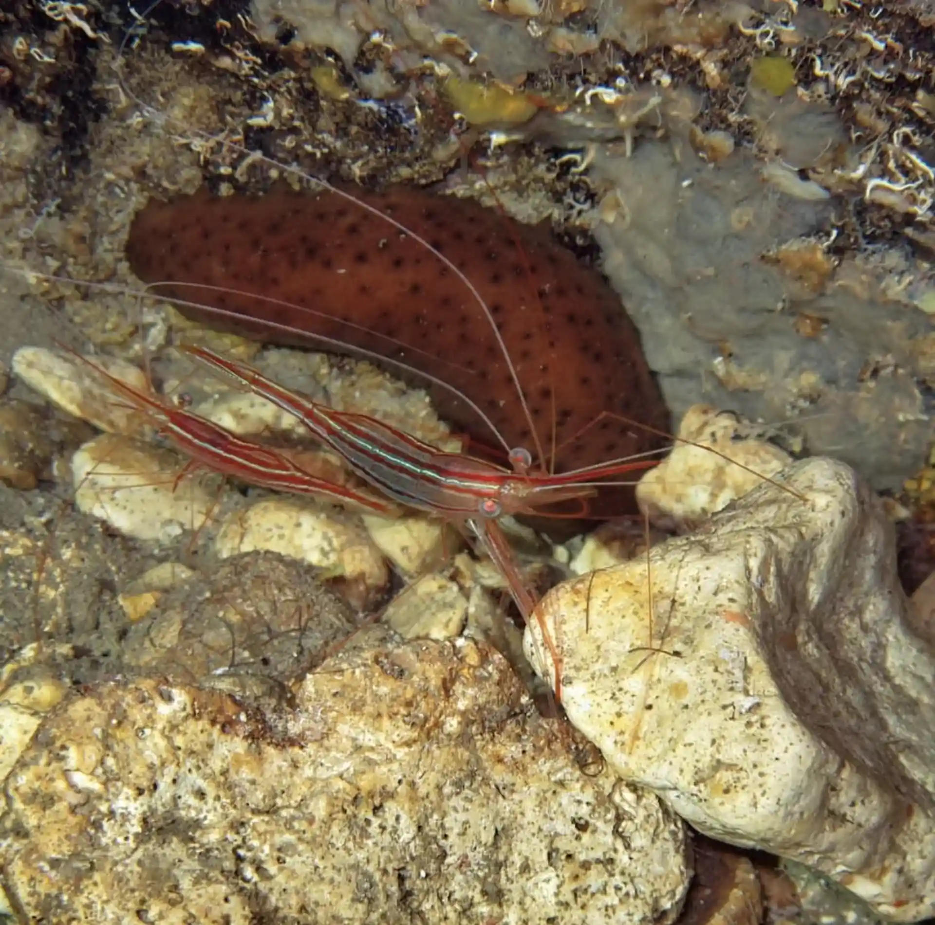Dive site photo