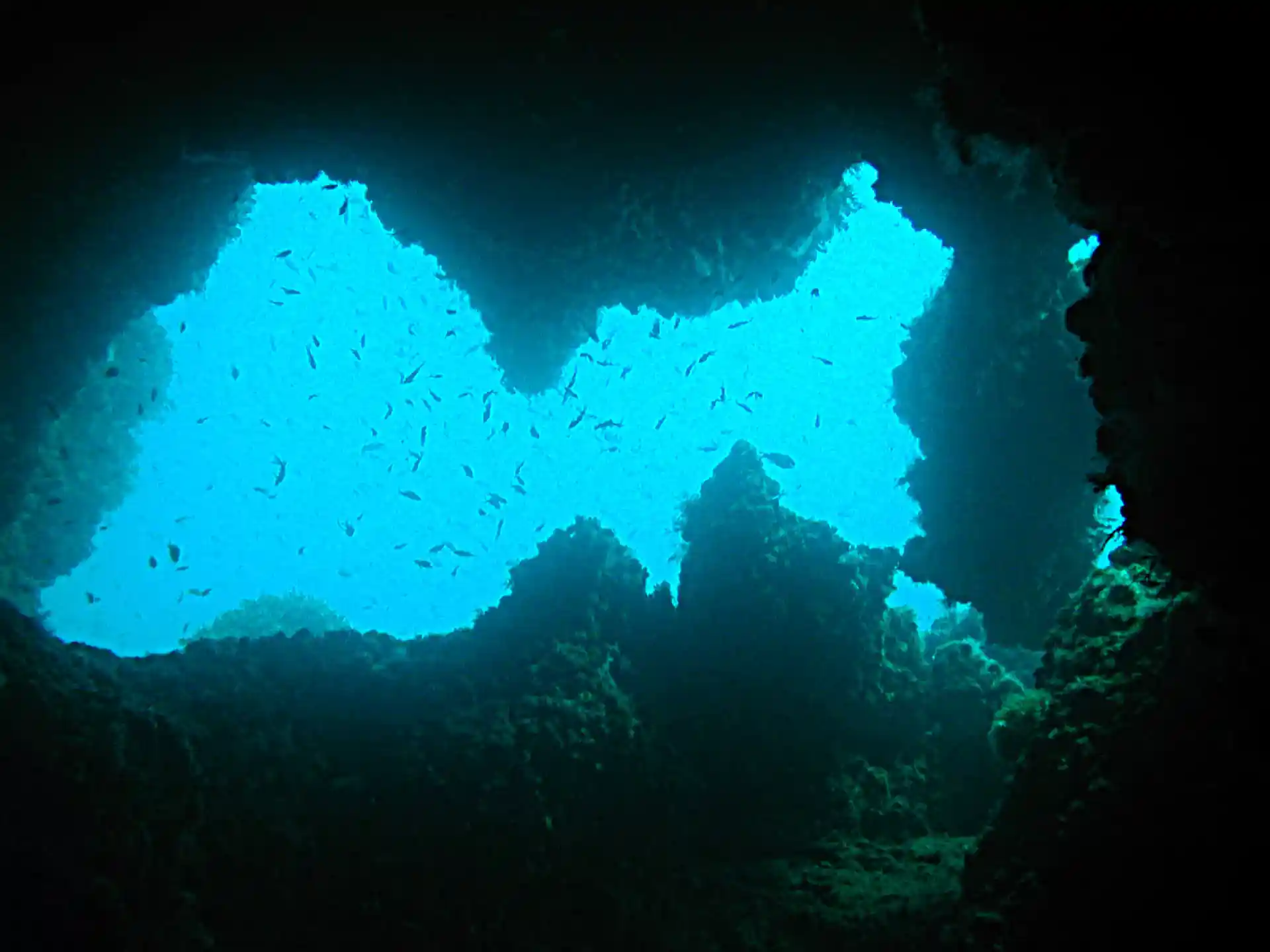 Foto des Tauchplatzes