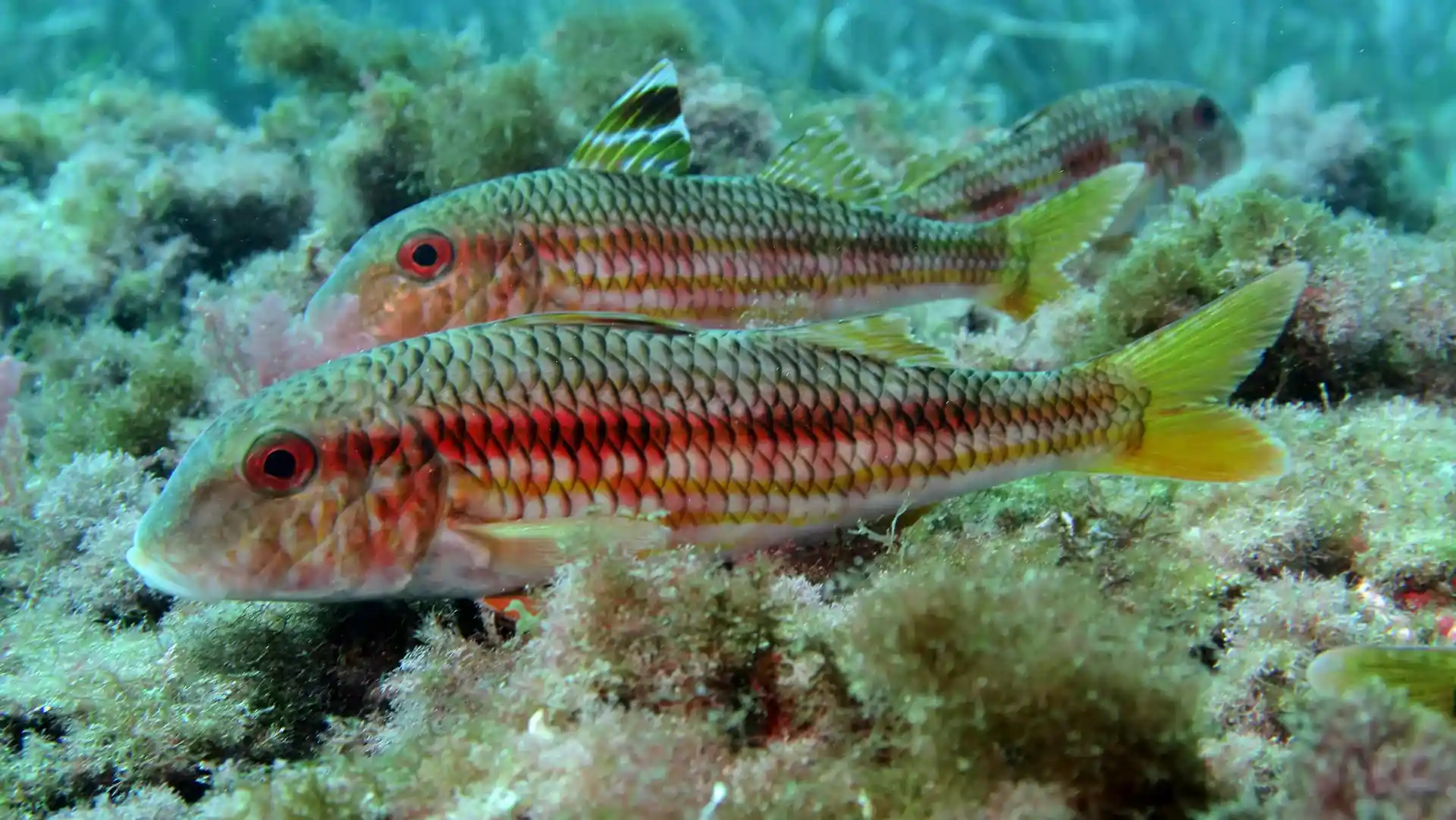 다이빙 포인트 사진