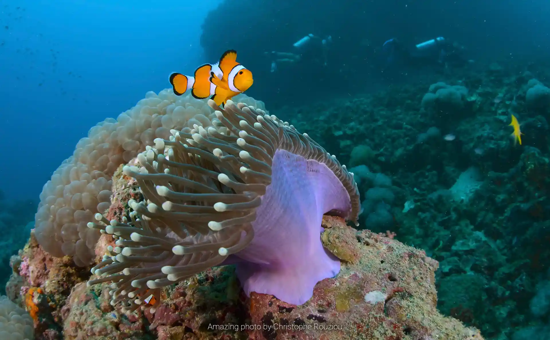 Photo de l'activité