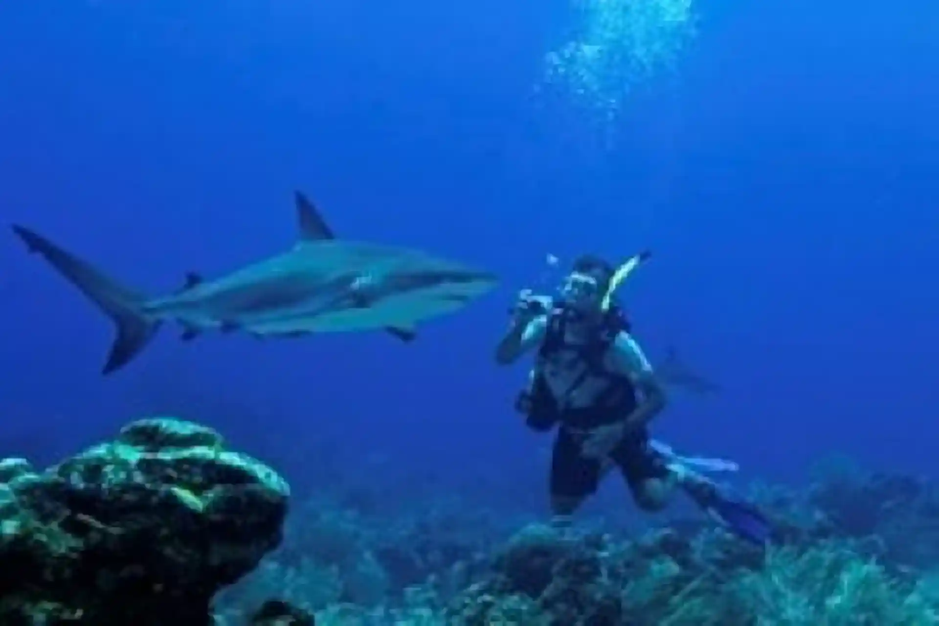 Foto de la actividad