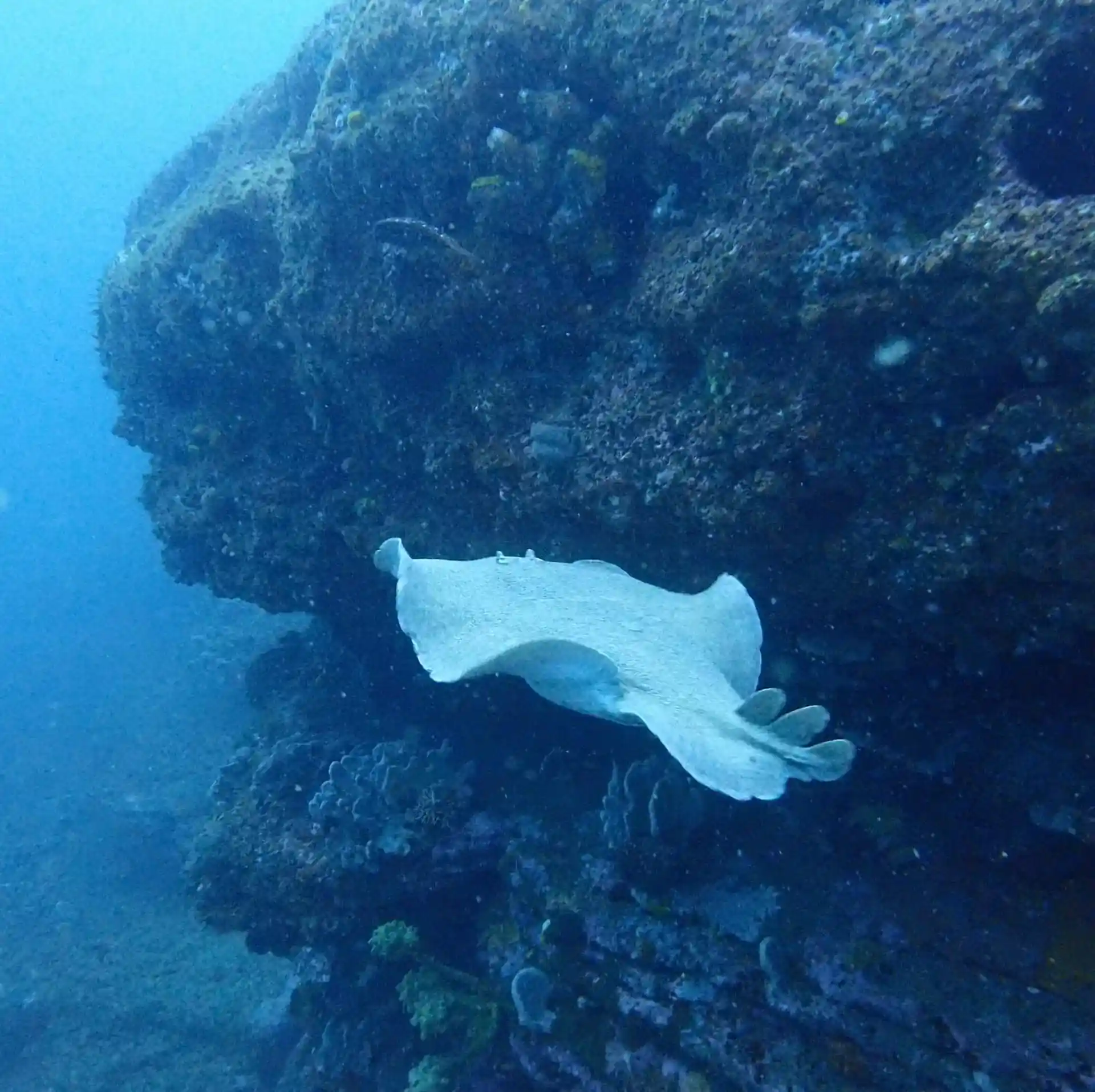 Dive site photo