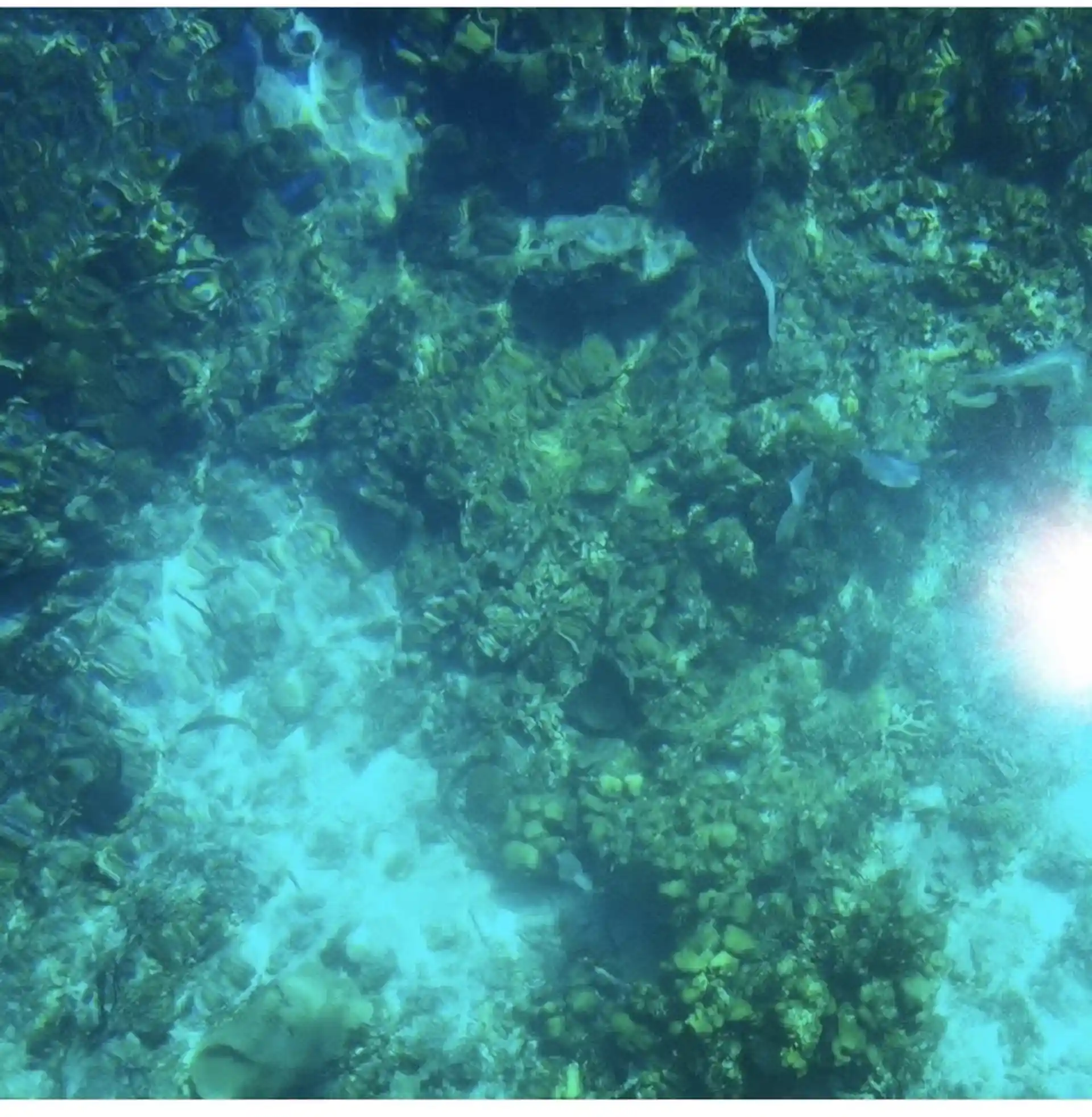 Beautiful View of the coral reef from the boat