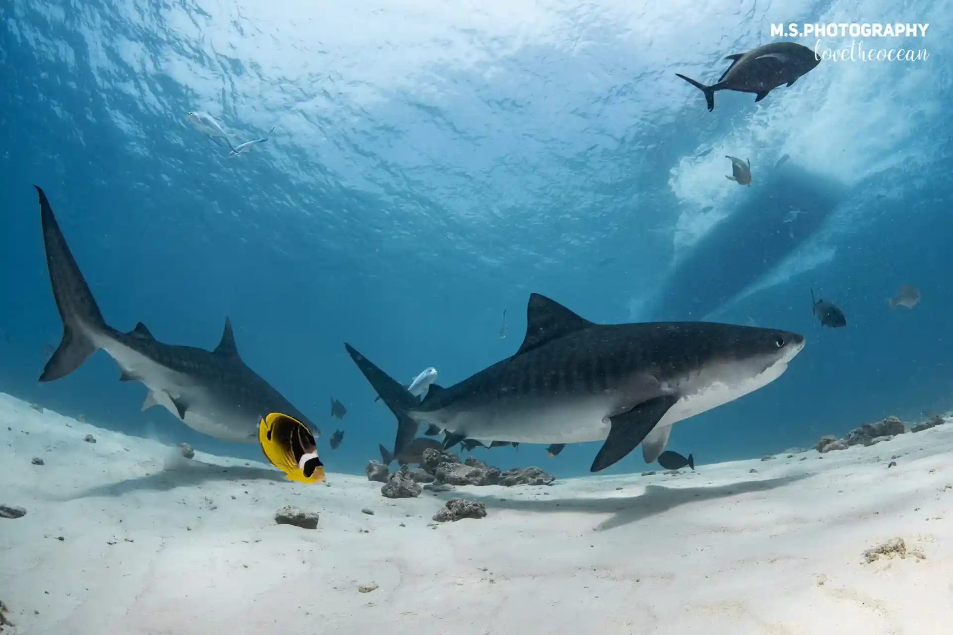 Foto del sitio de buceo