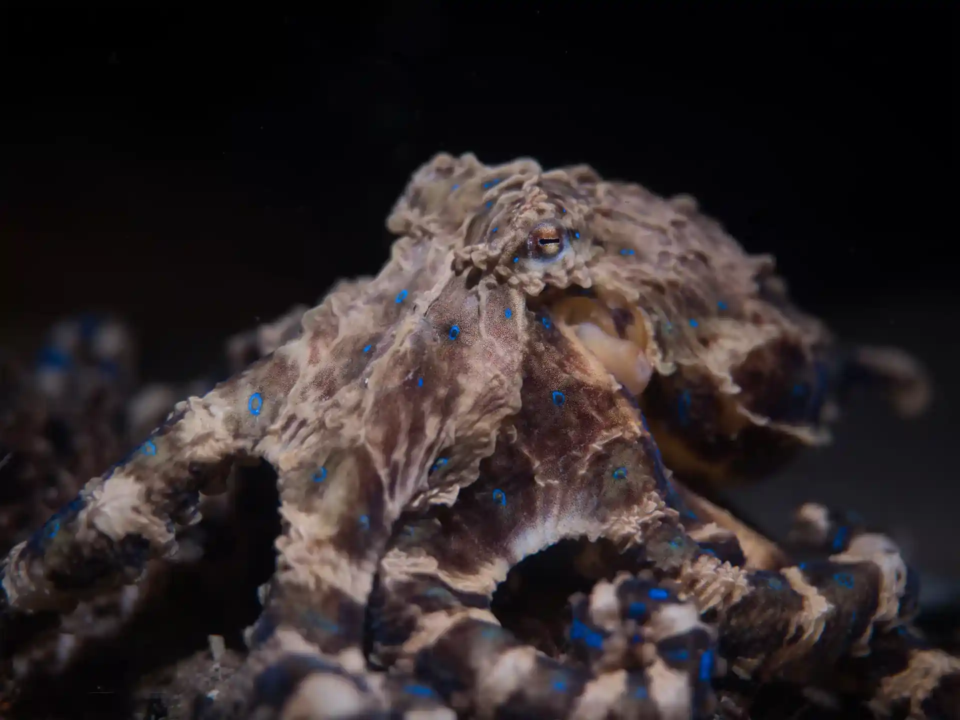 ダイビングサイトの写真