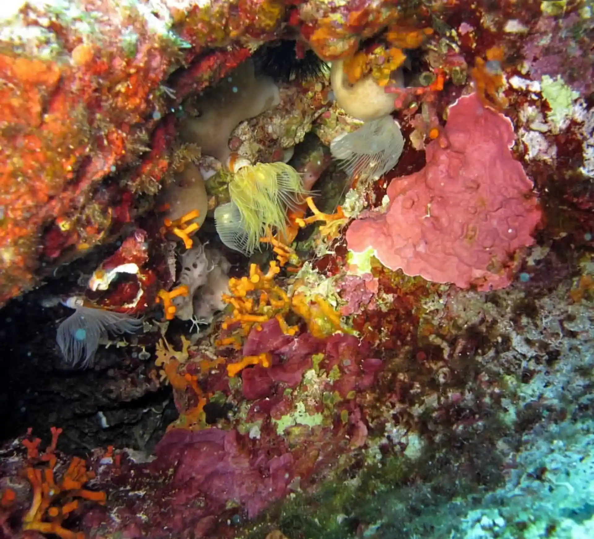 Dive site photo