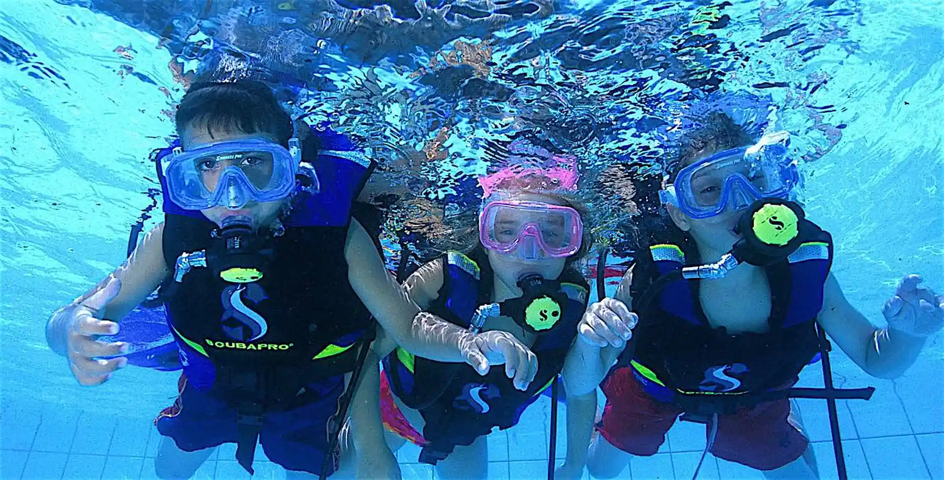 Photo de l'activité