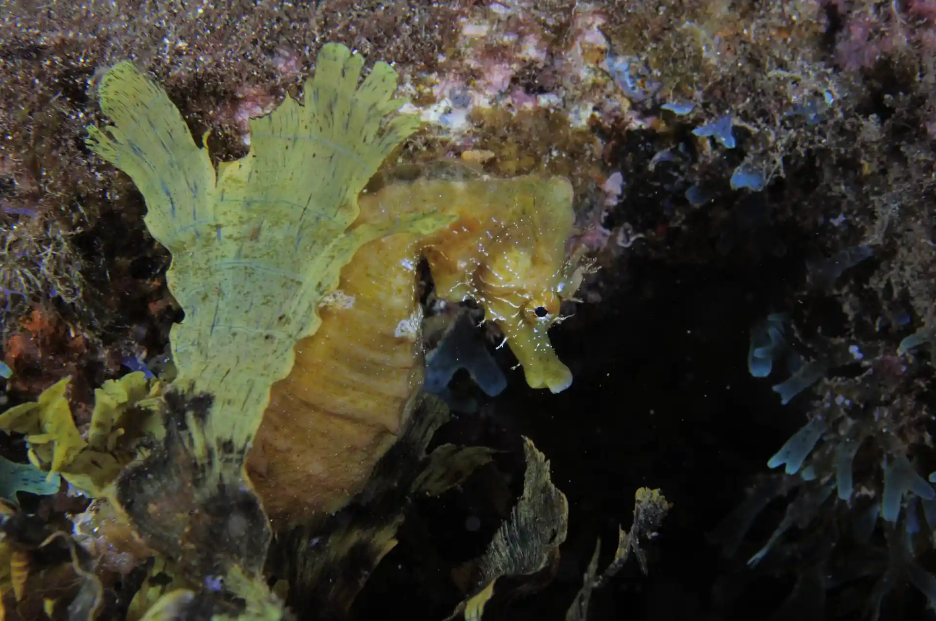 Foto des Tauchplatzes