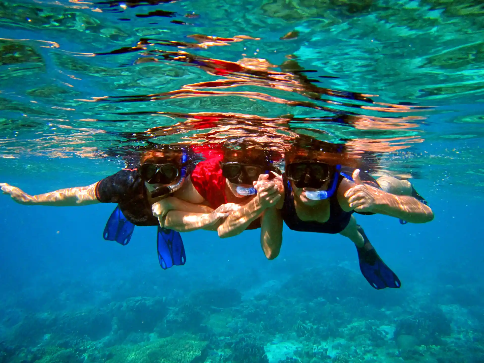 Photo de l'activité