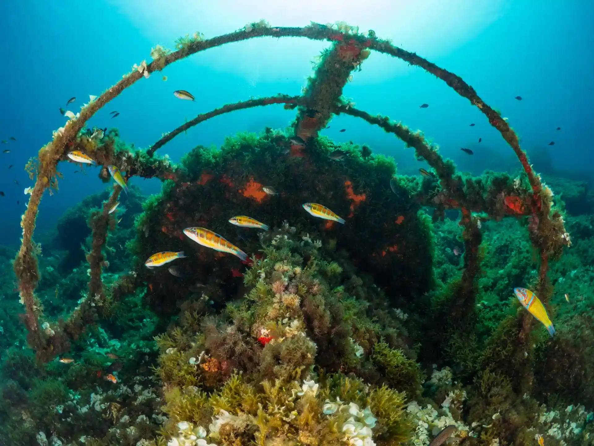 Dive site photo