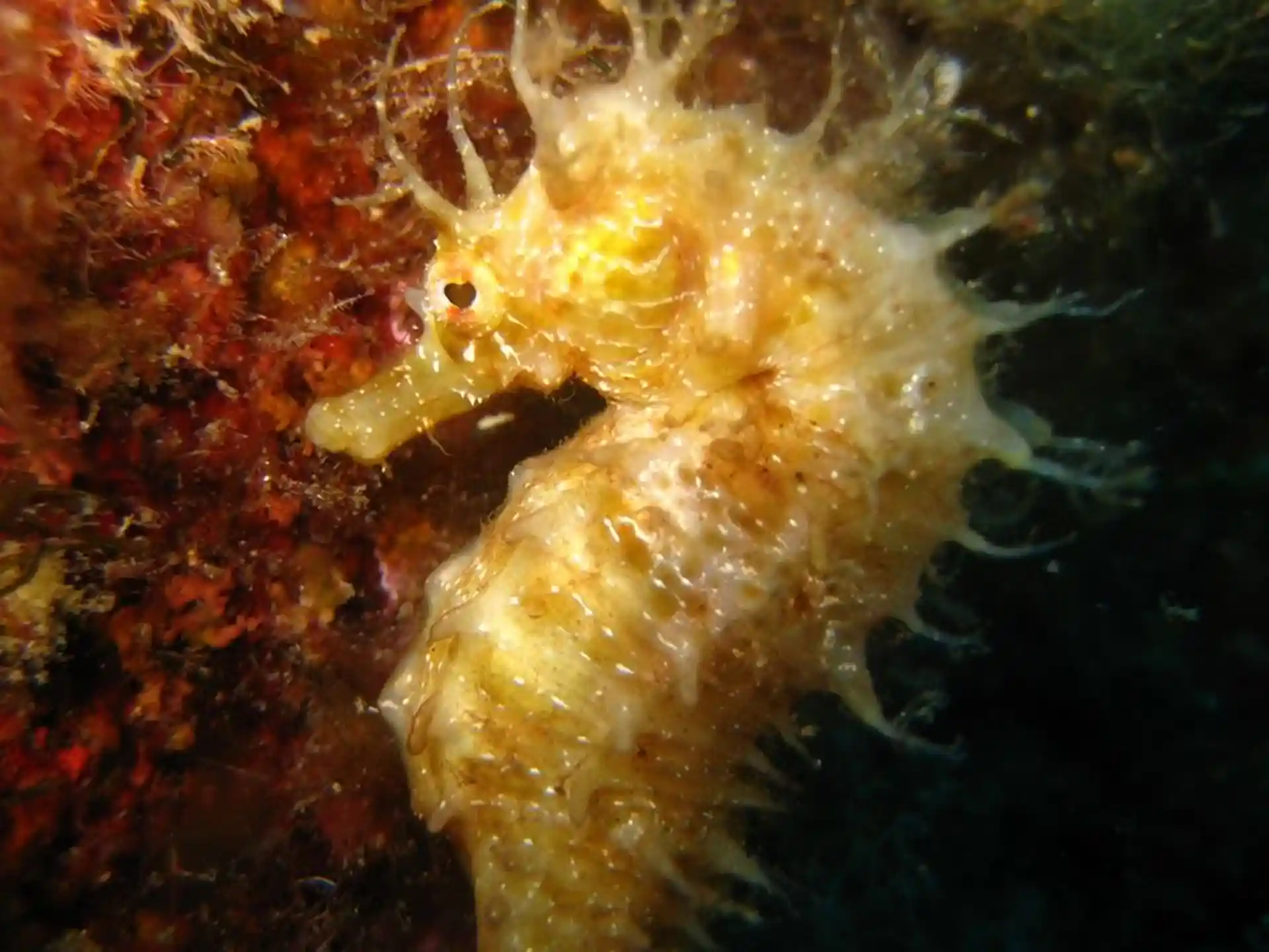 다이빙 포인트 사진