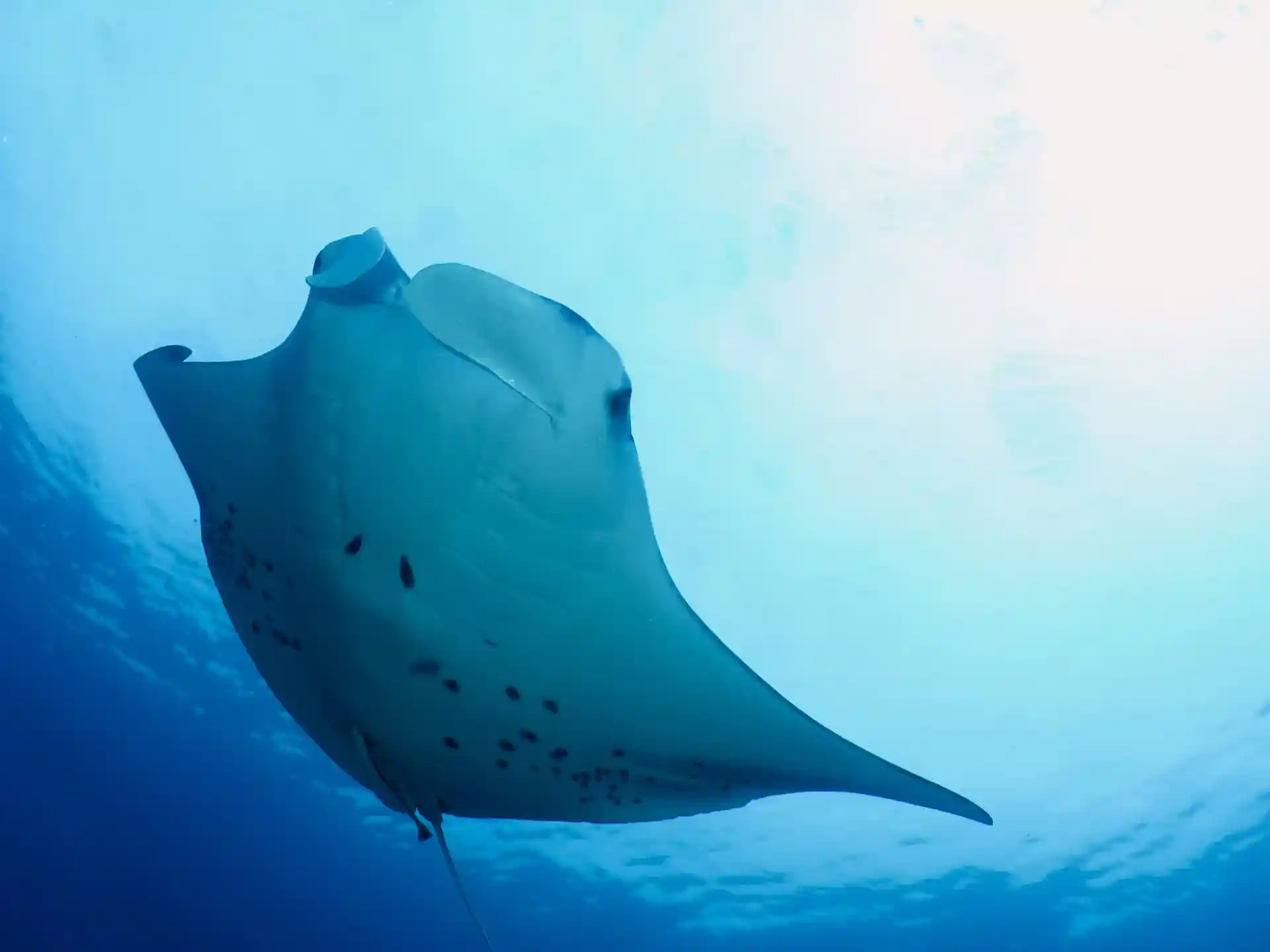 Dive site photo