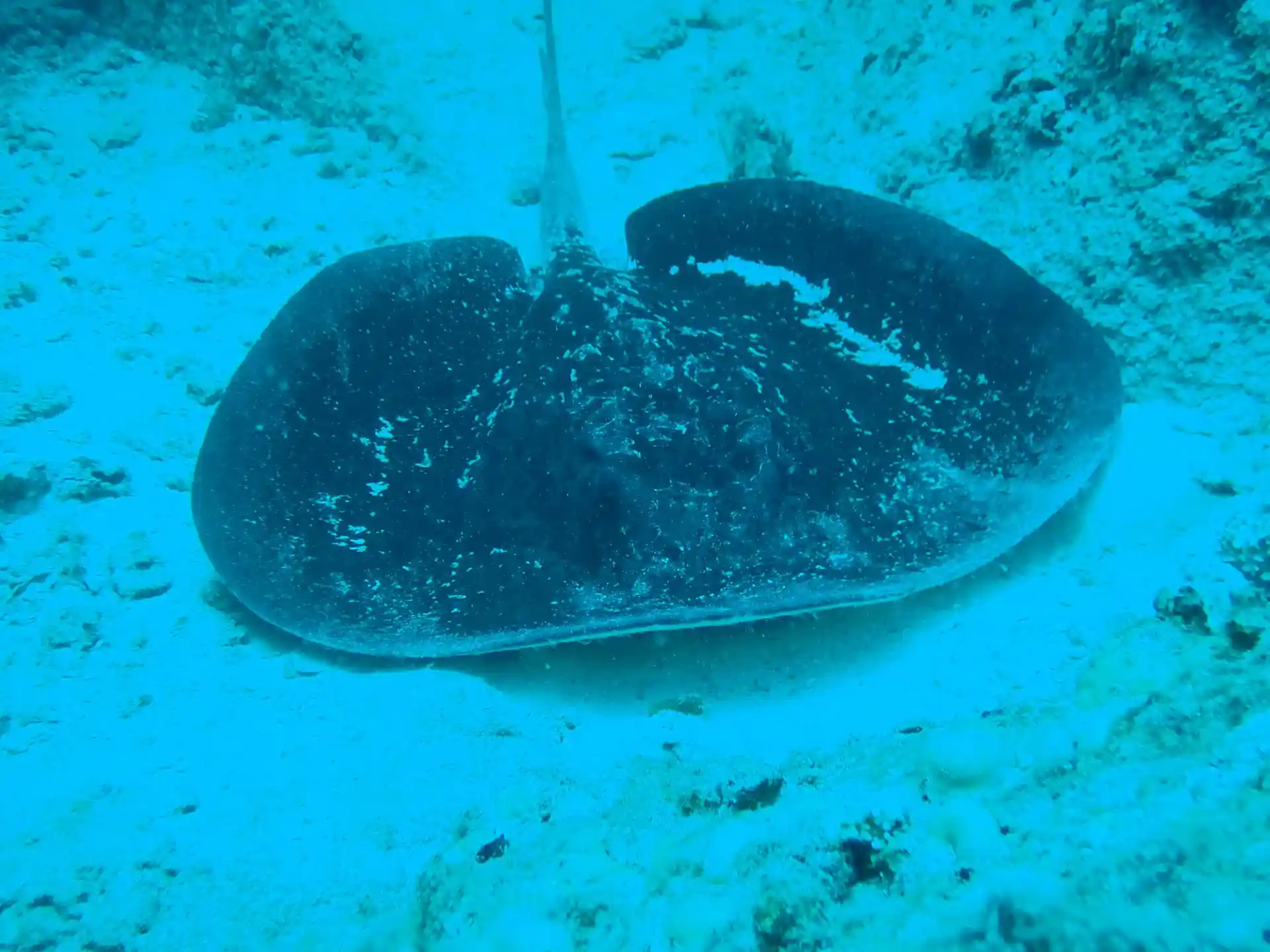 Dive site photo