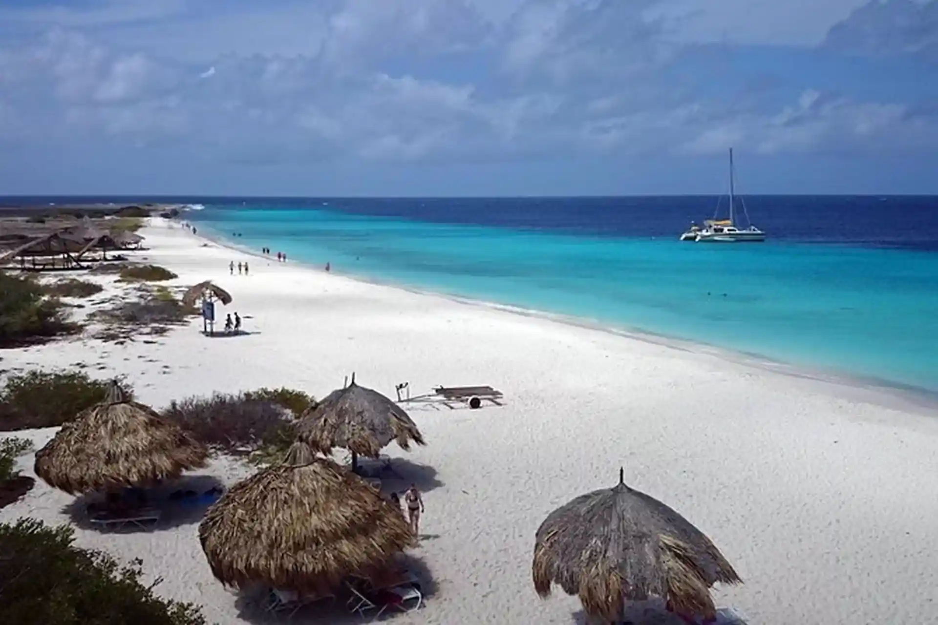 ダイビングサイトの写真