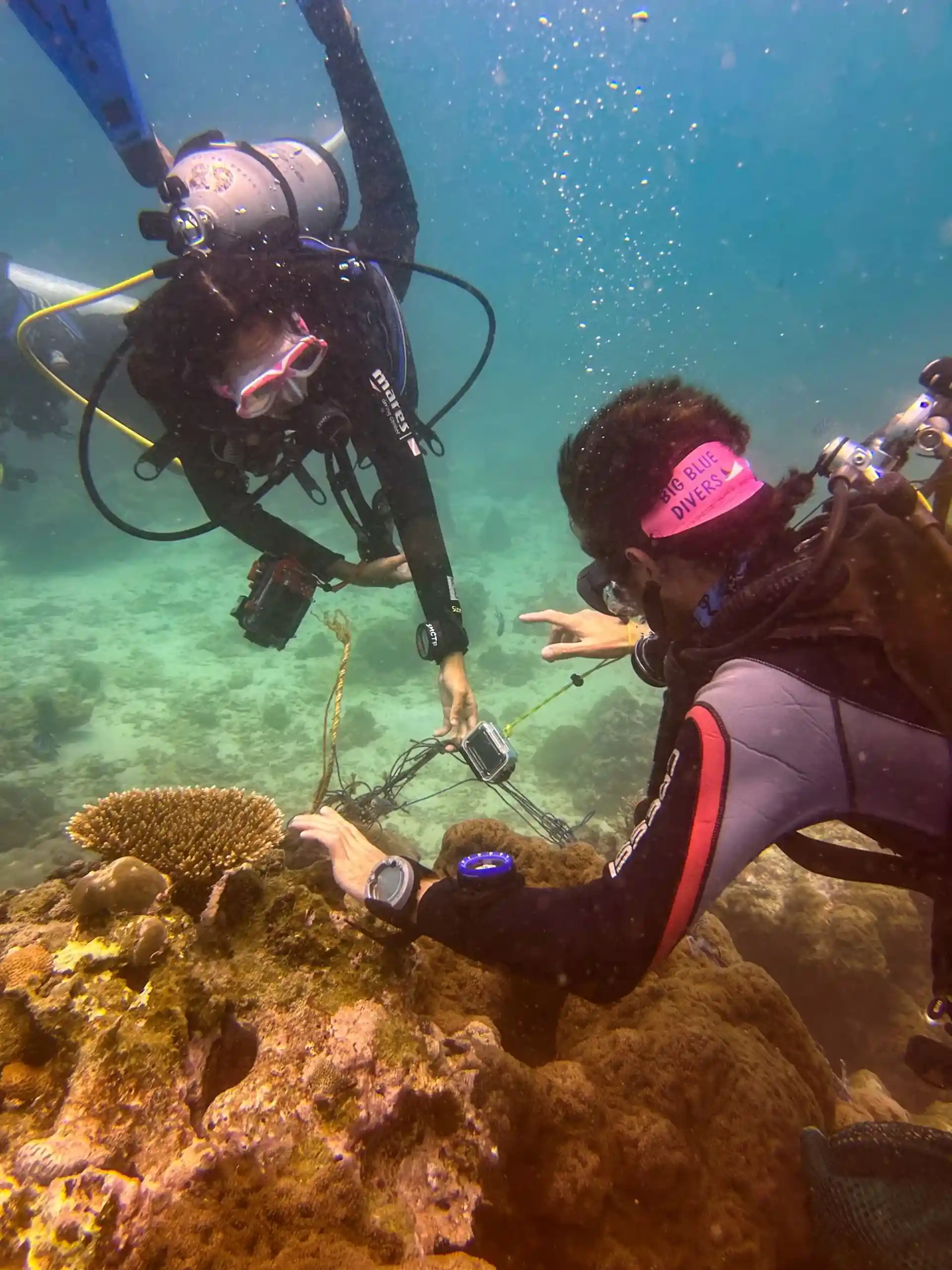 Protect paradise – one dive at a time.