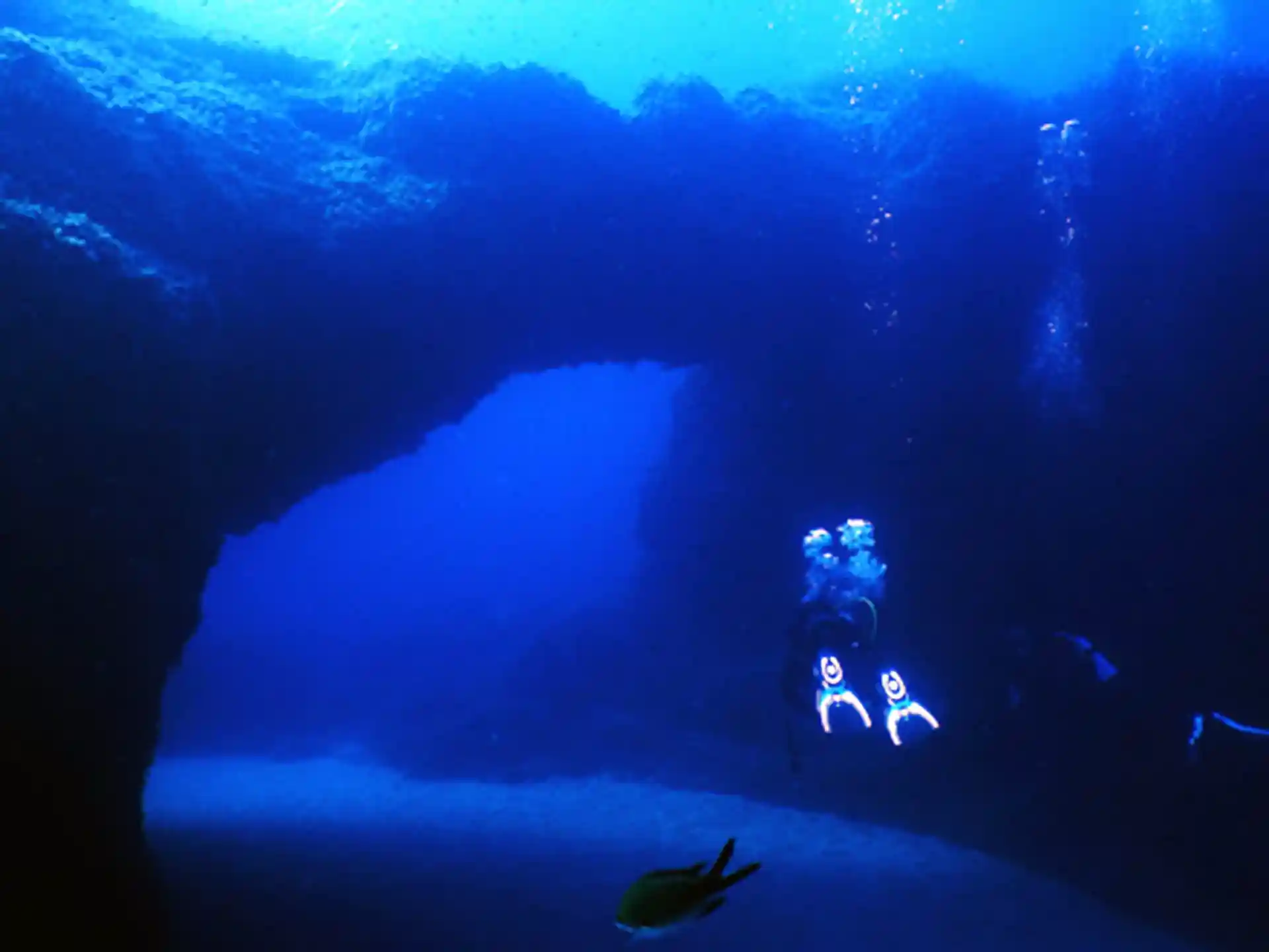 Photo du site de plongée