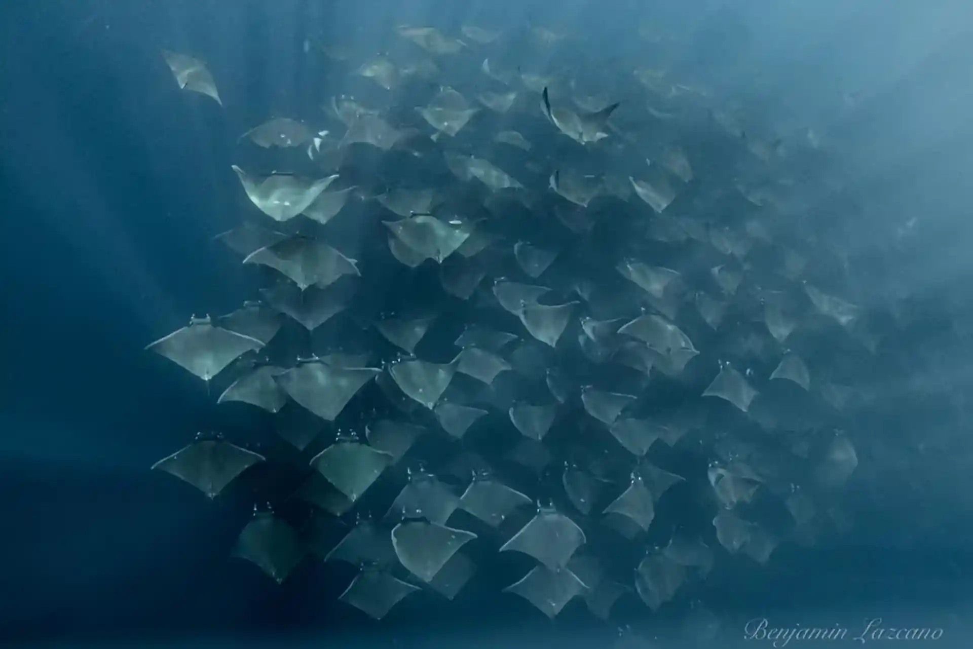 Foto de la actividad