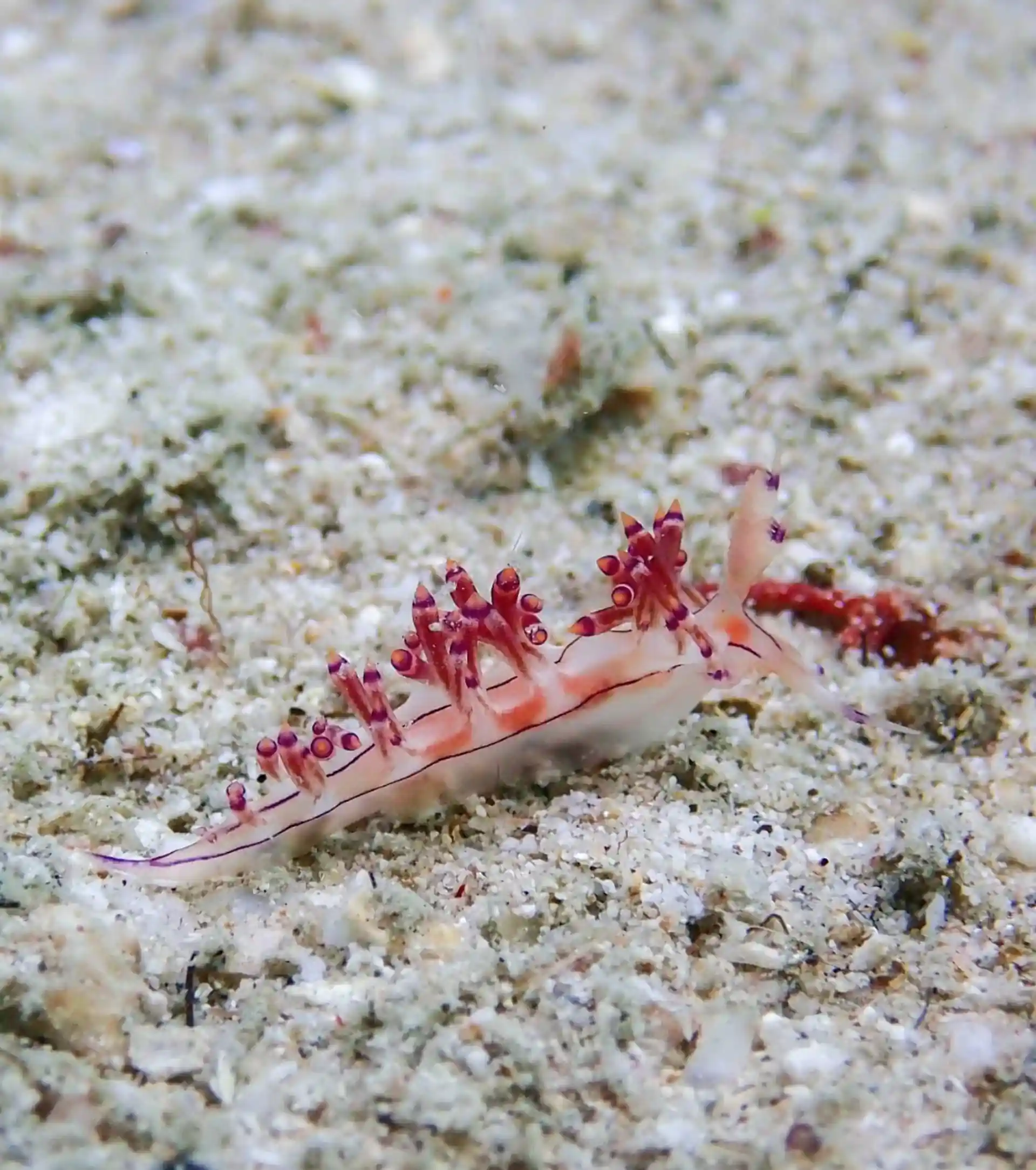 다이빙 포인트 사진