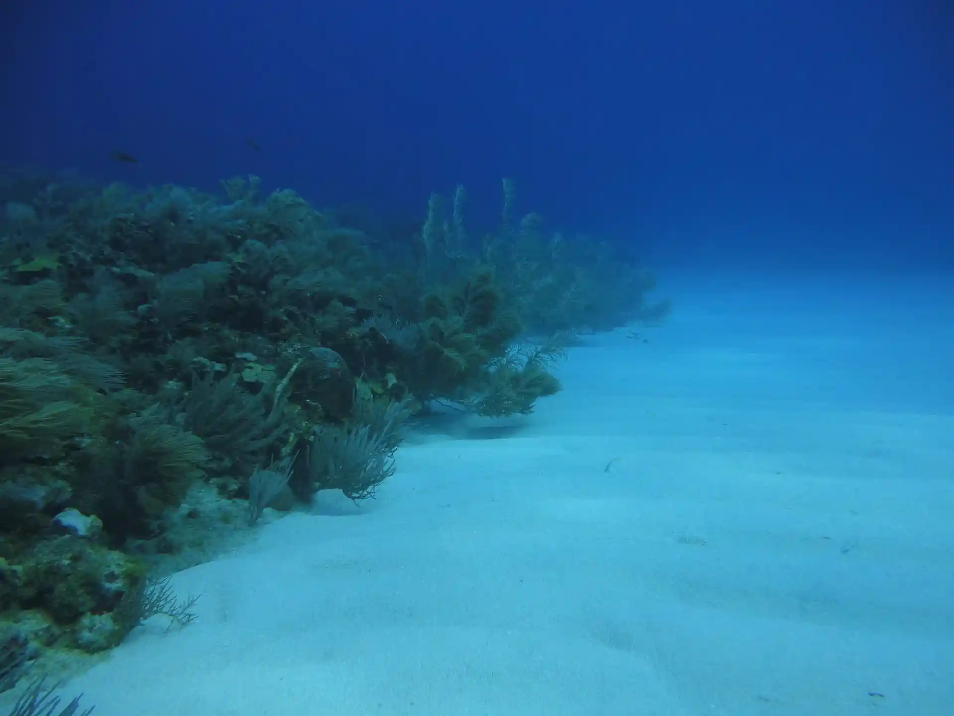 Dive site photo