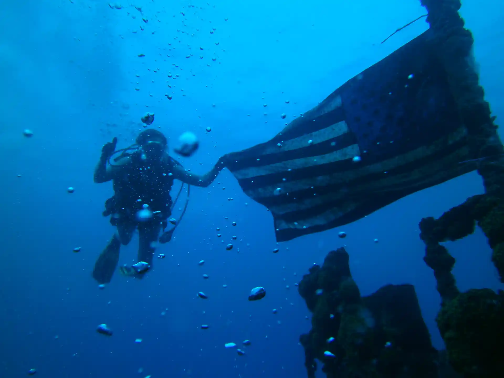 Photo de l'activité