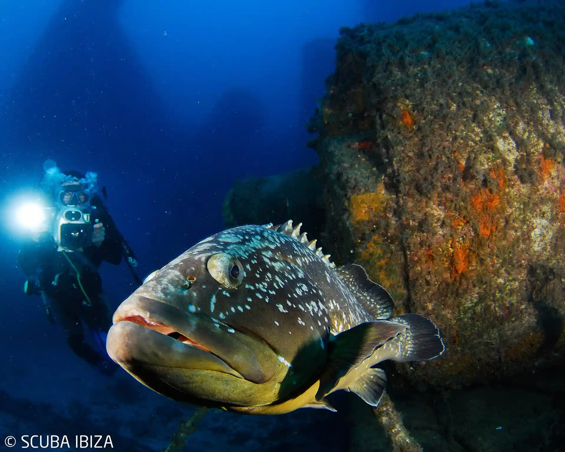 Dive site photo