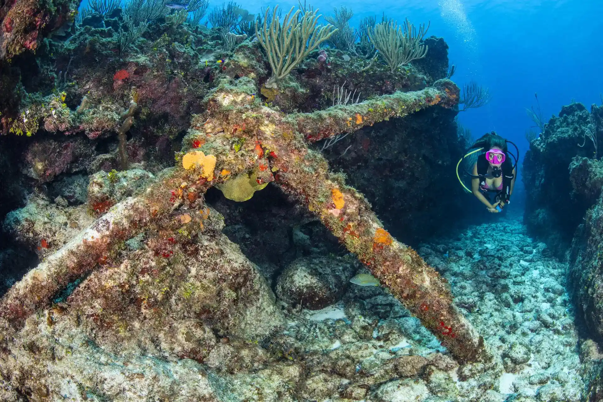 Dive site photo