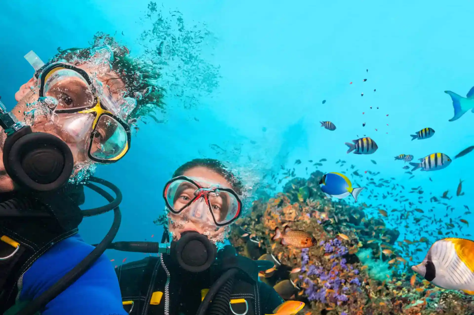 Foto de la actividad