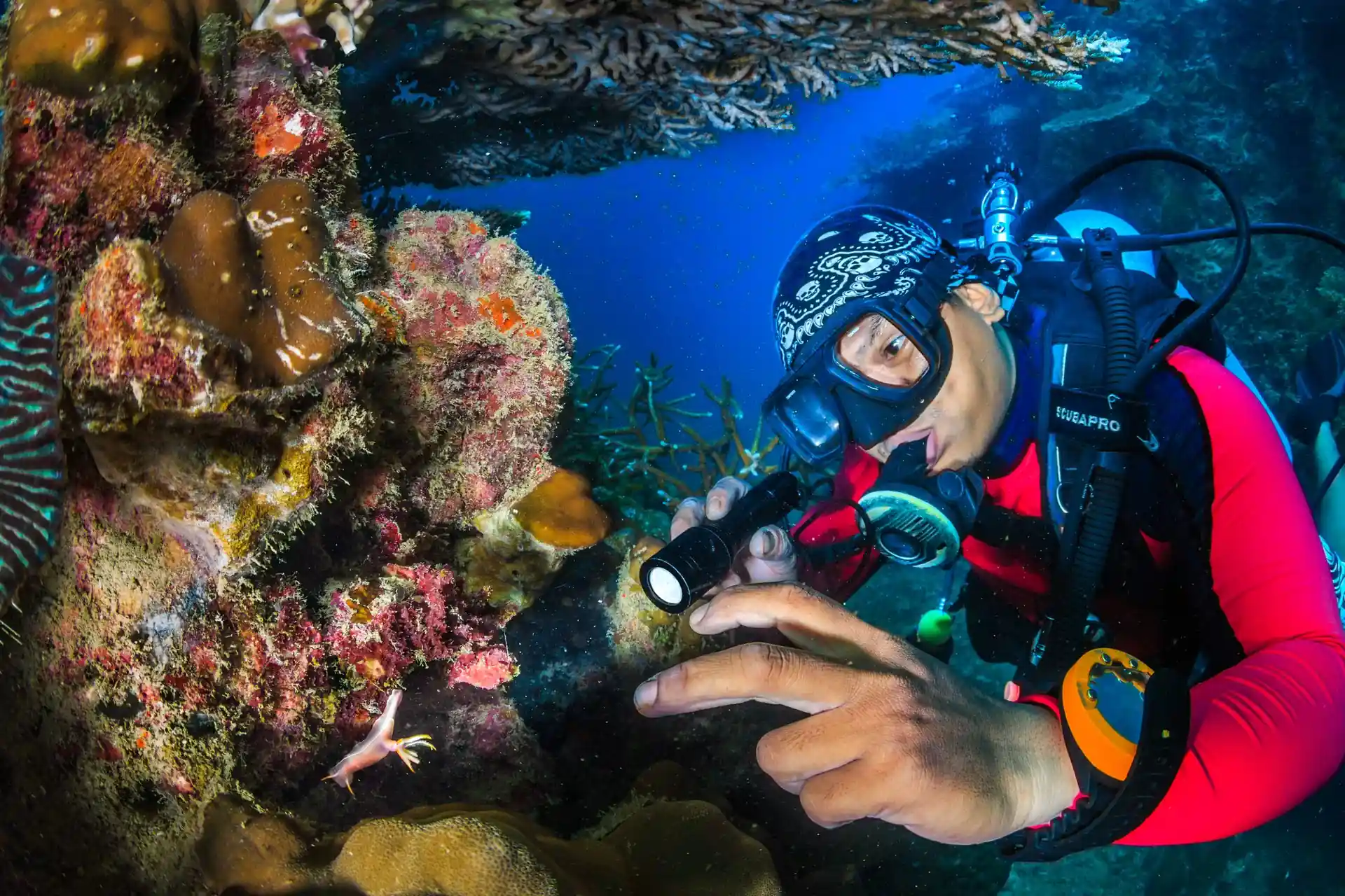 Dive site photo