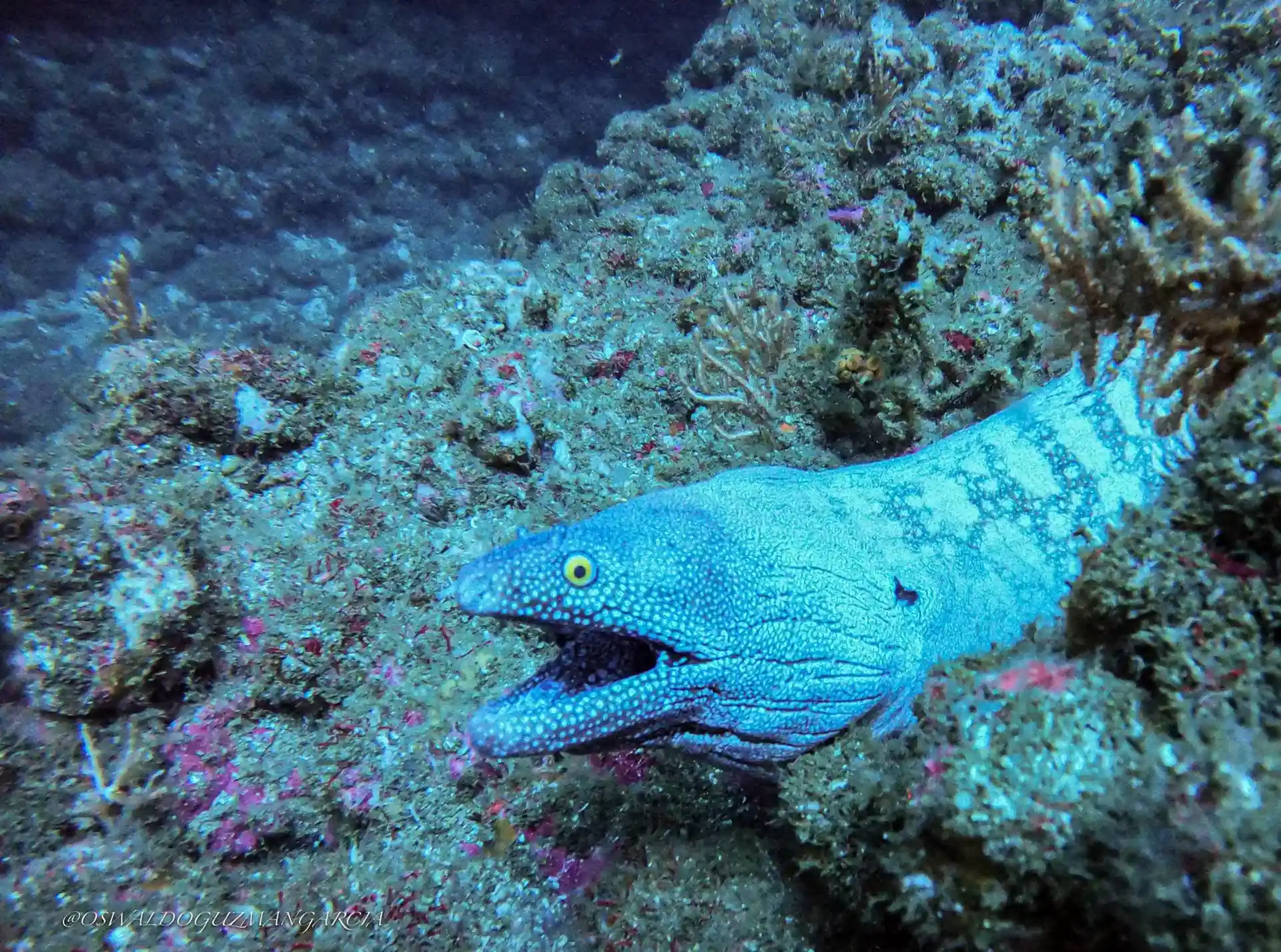 Dive site photo
