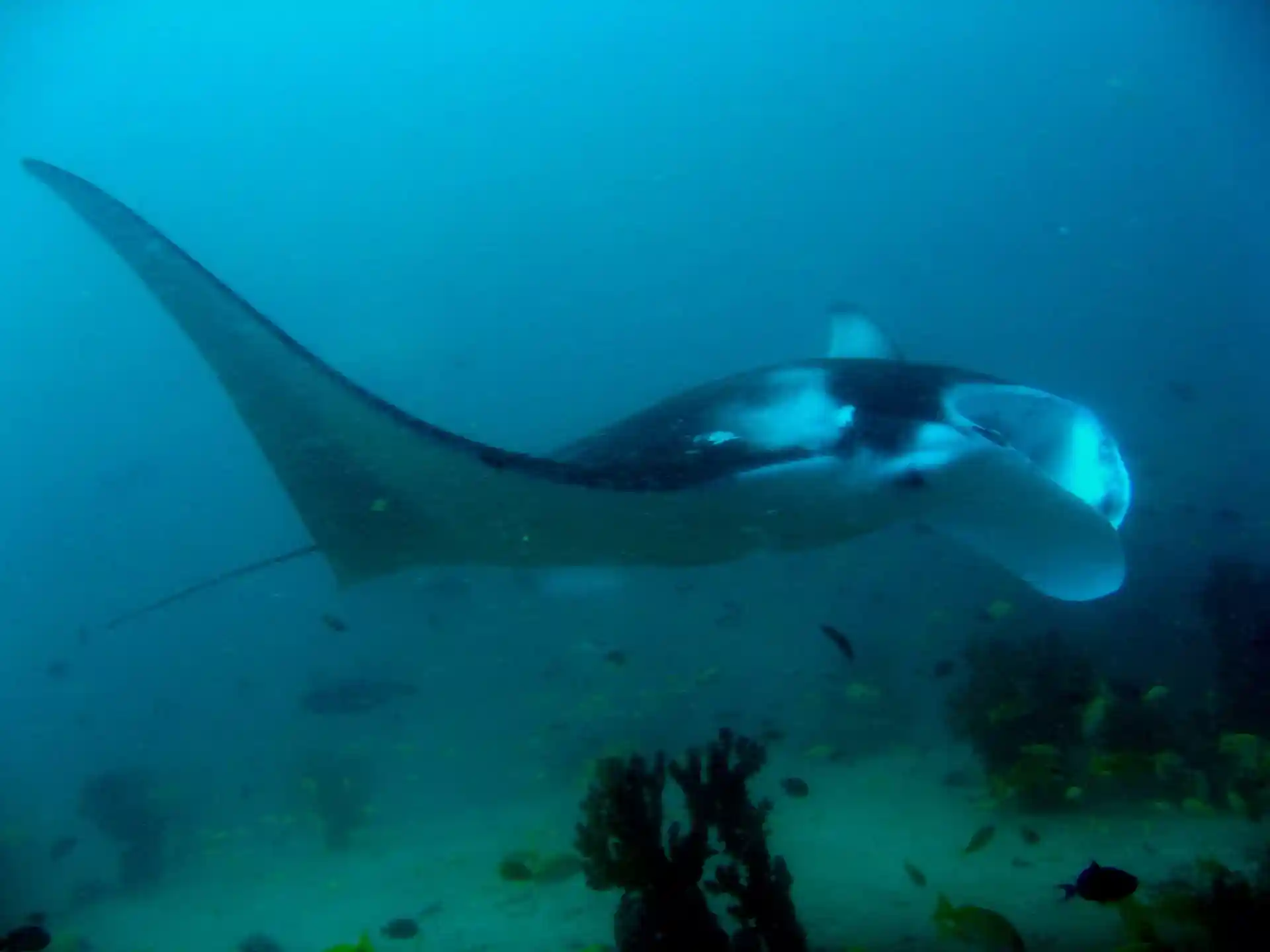 Dive site photo
