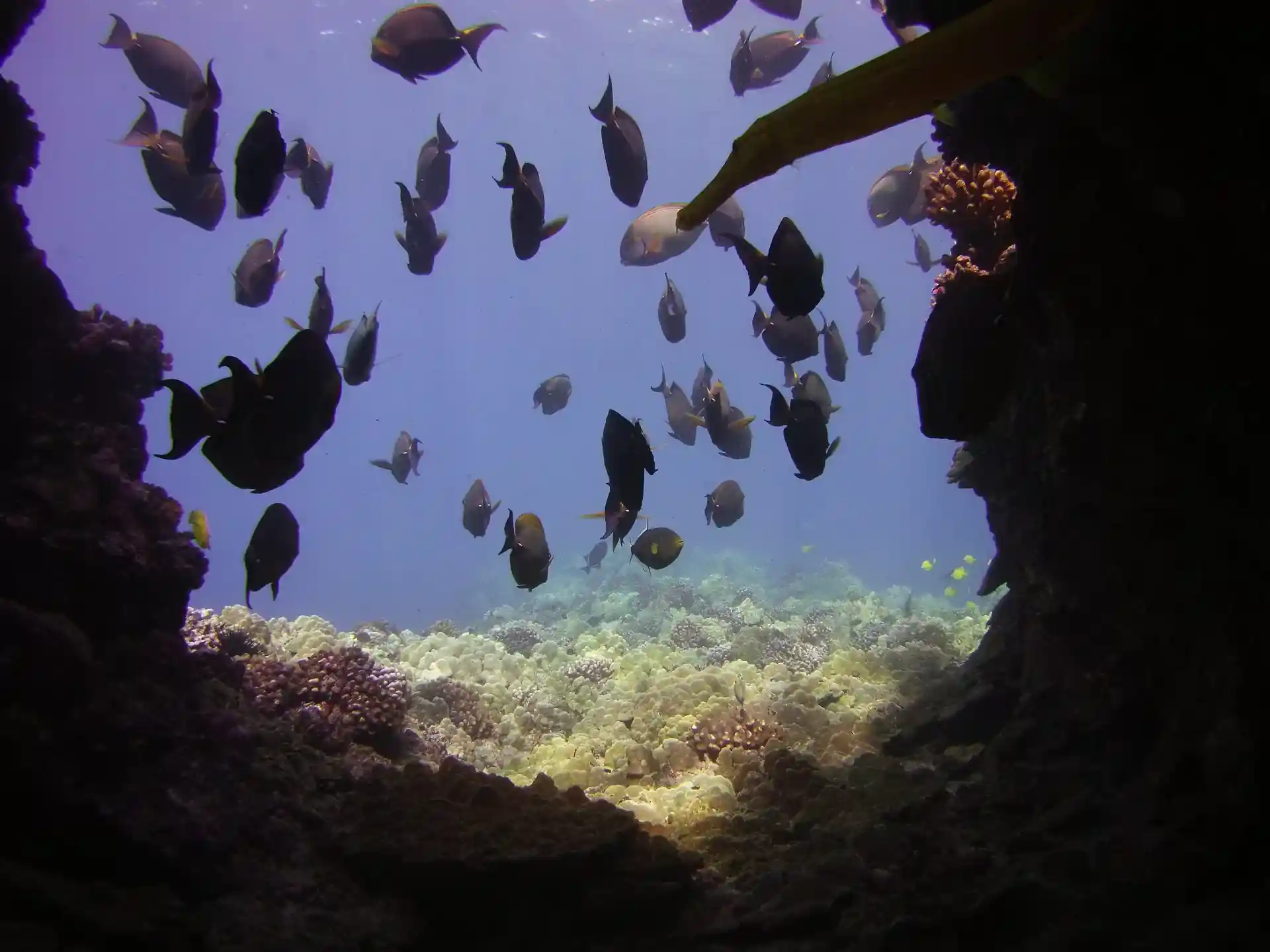 Foto des Tauchplatzes