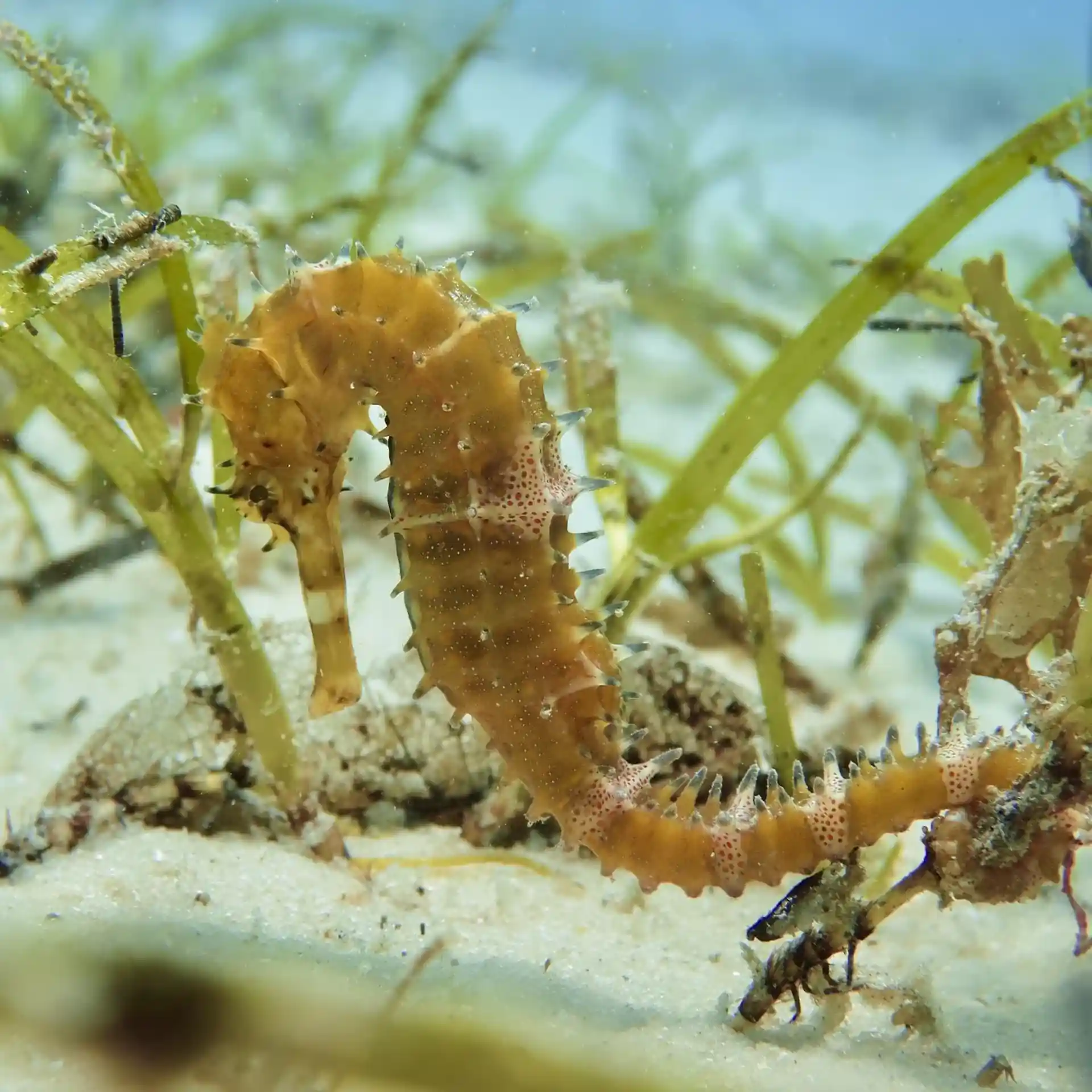 Foto van de duiklocatie