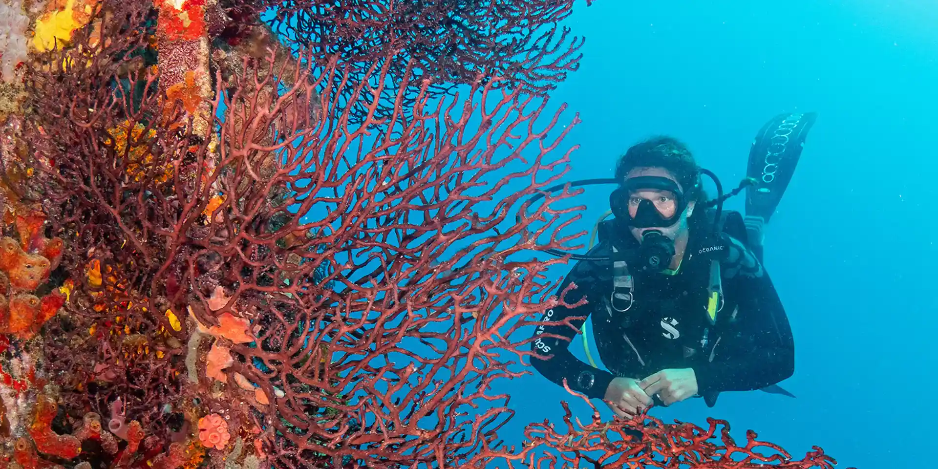 Foto de la actividad