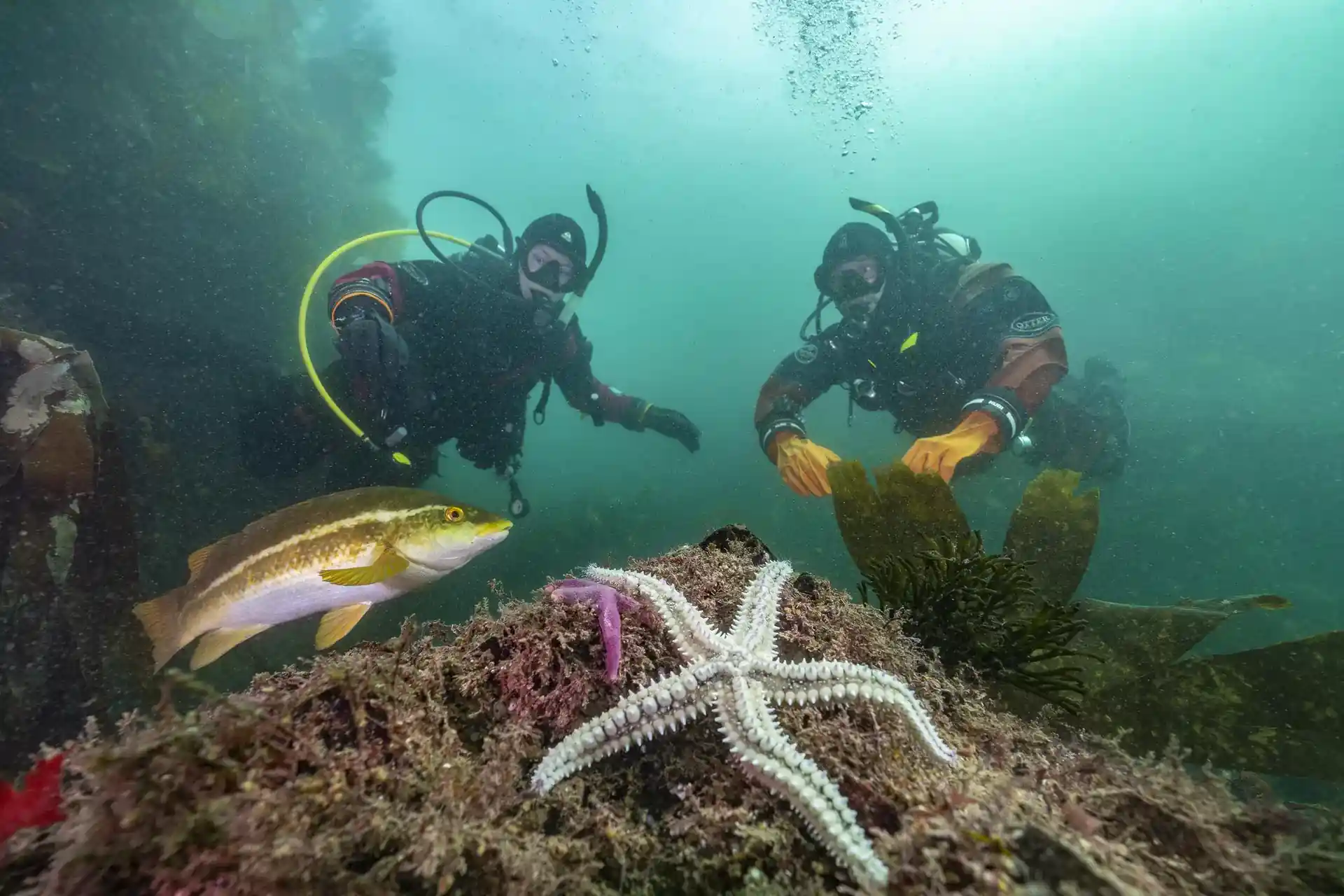 Women’s Diving Day: dive, learn, and connect!
Workshops, fun dives, and great energy.
Don’t miss out!