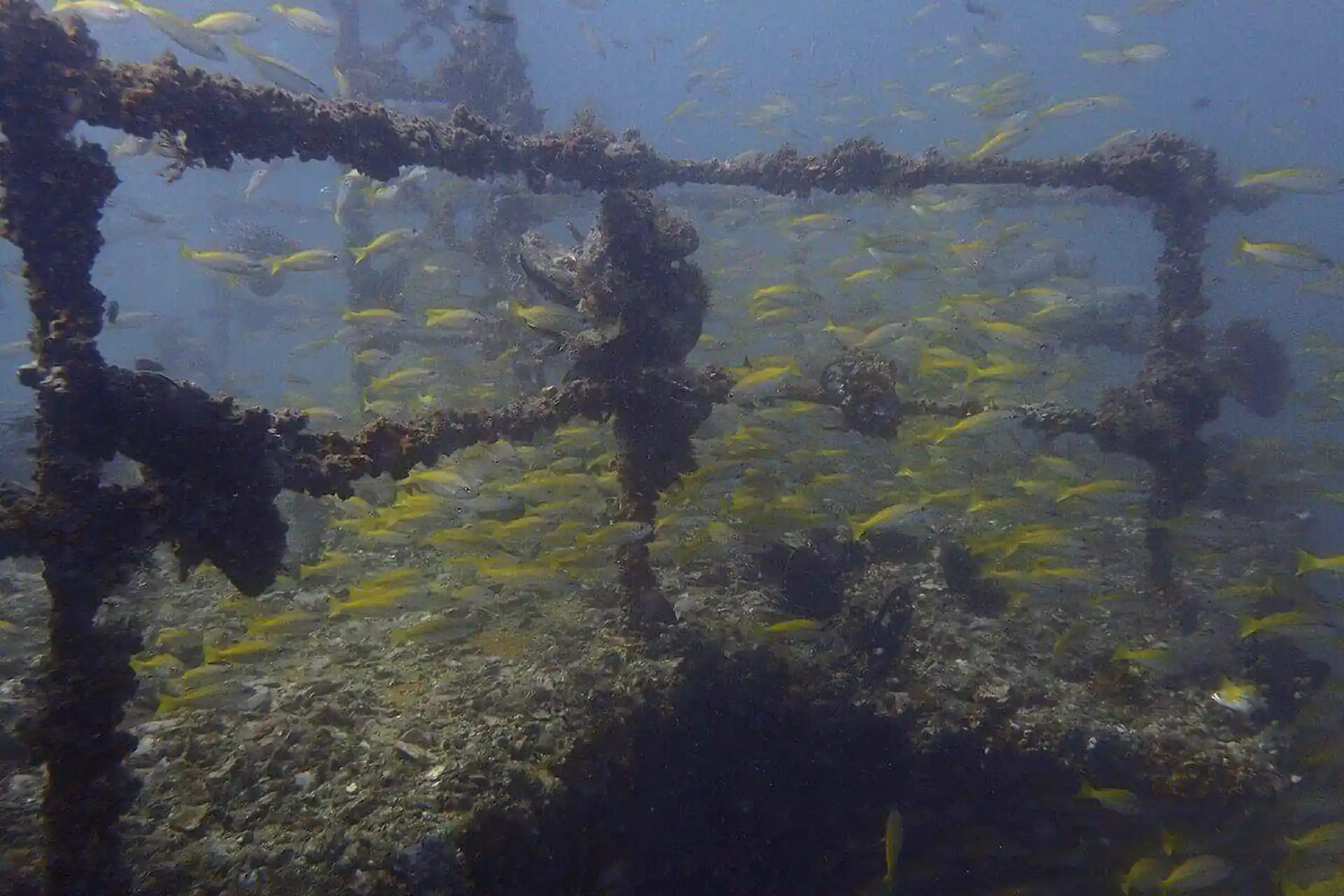 Dive site photo