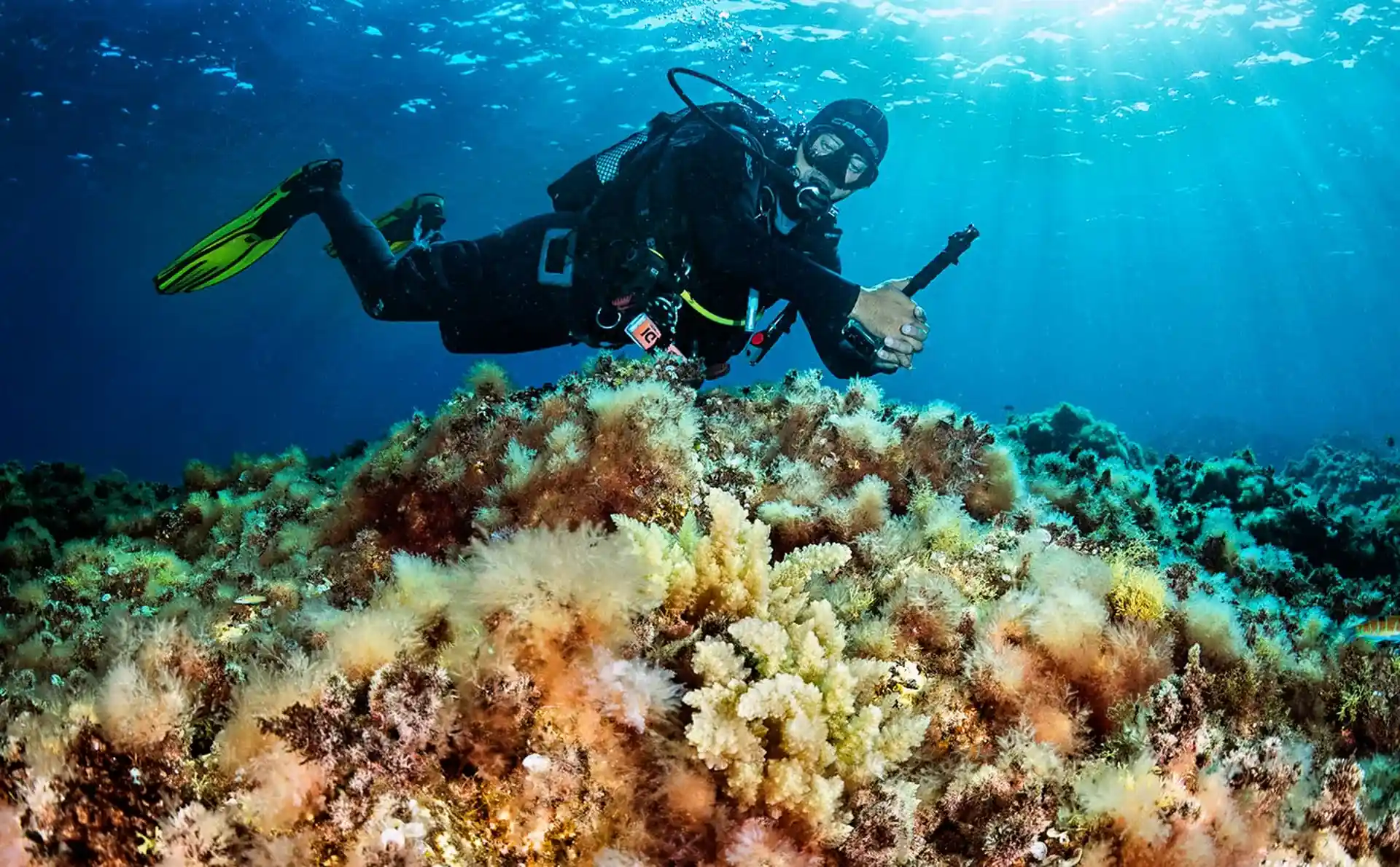 Dive shop photo
