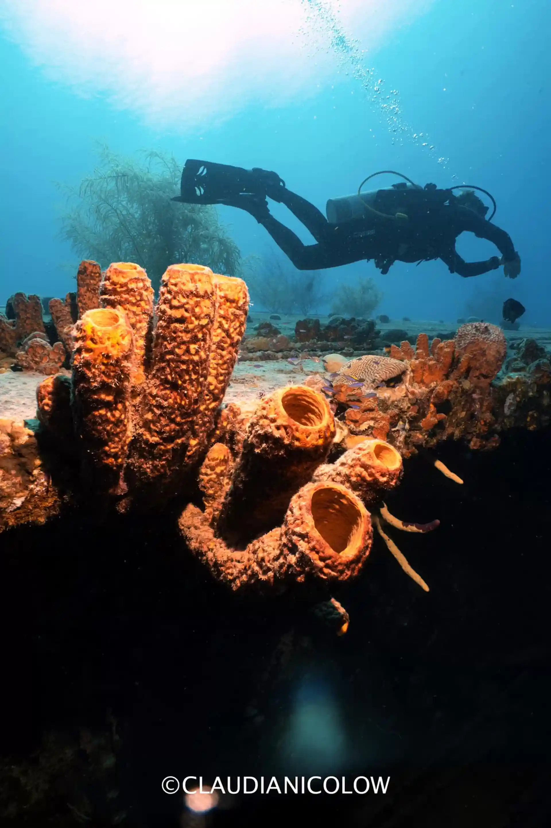 Foto de la actividad